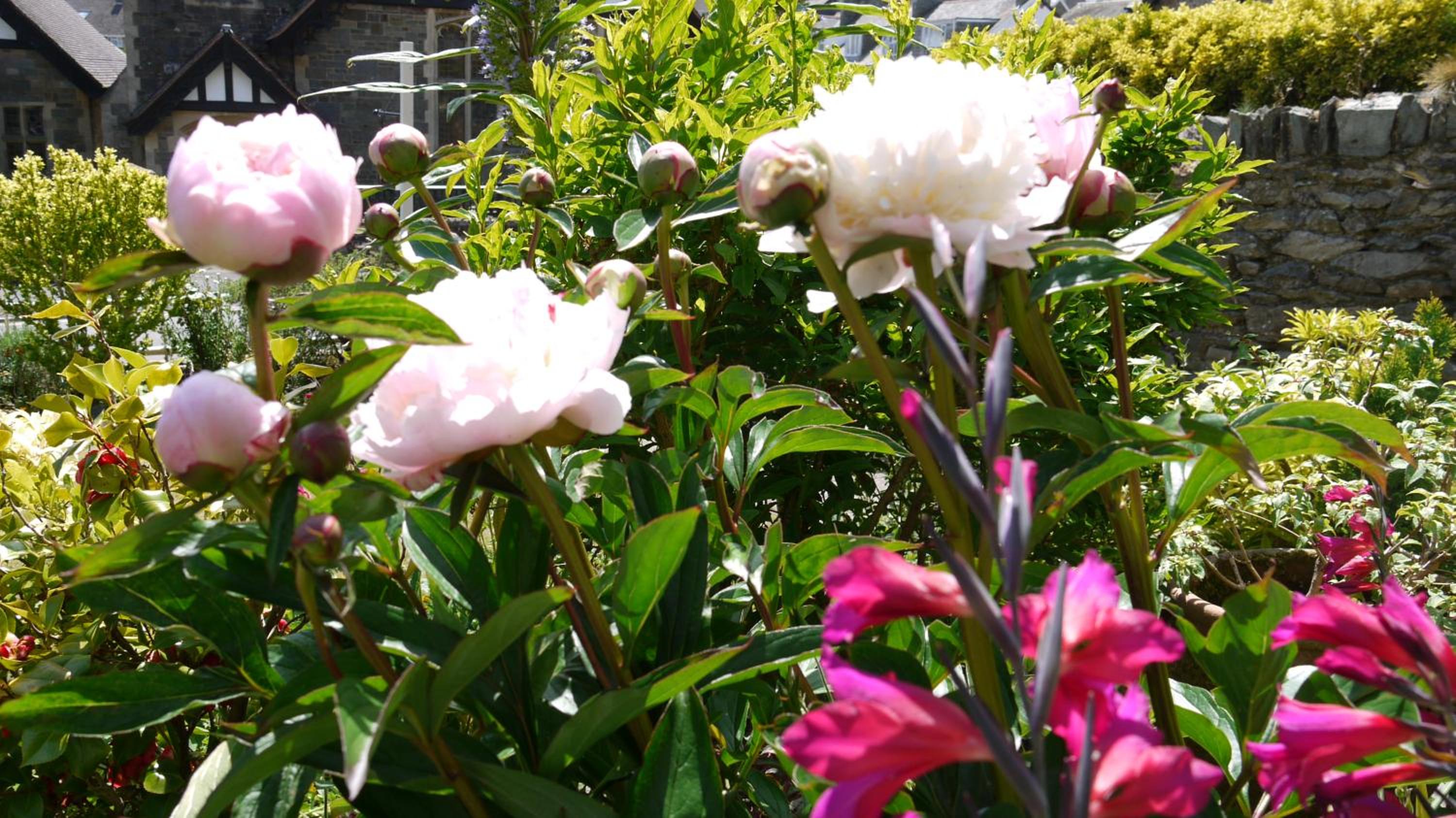 Lynton Vacations - Gable Lodge Guest House - Property Image 36