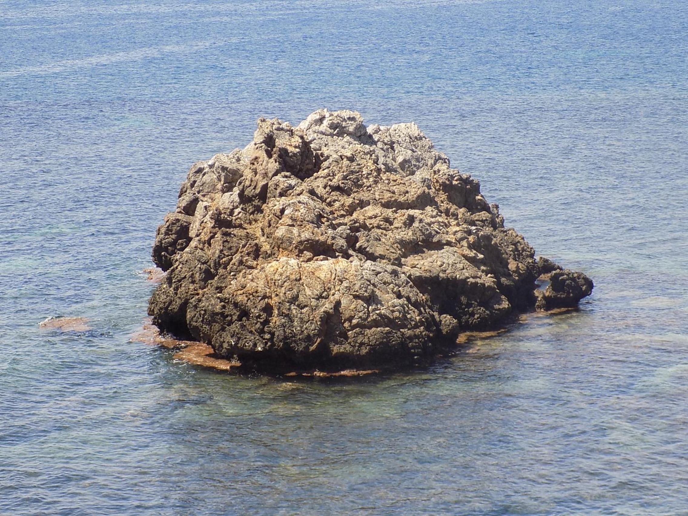 Photo 46