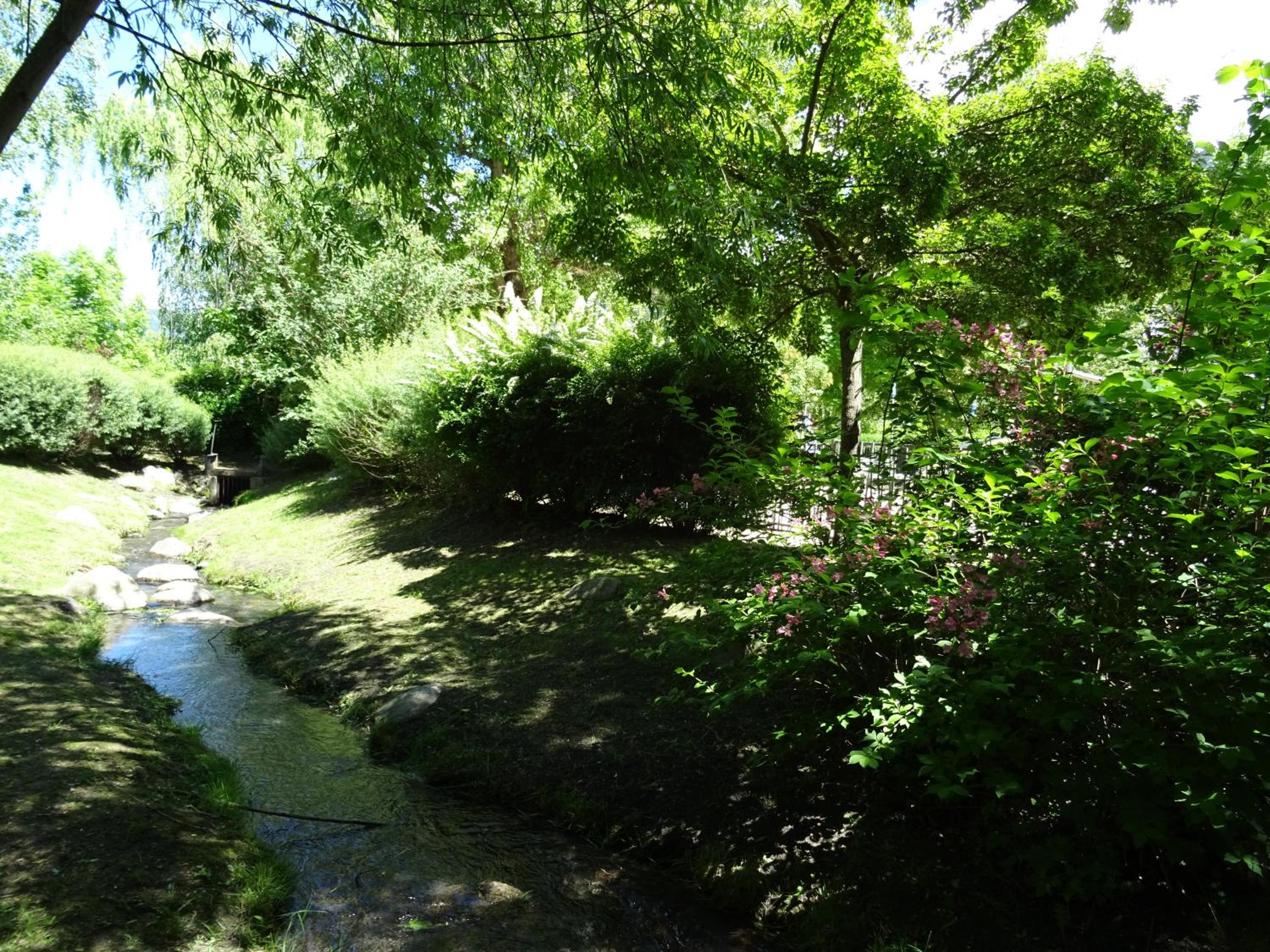 Photo 14