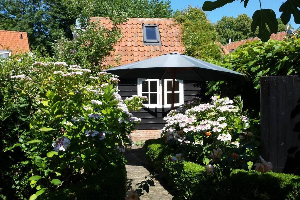 Photo 19