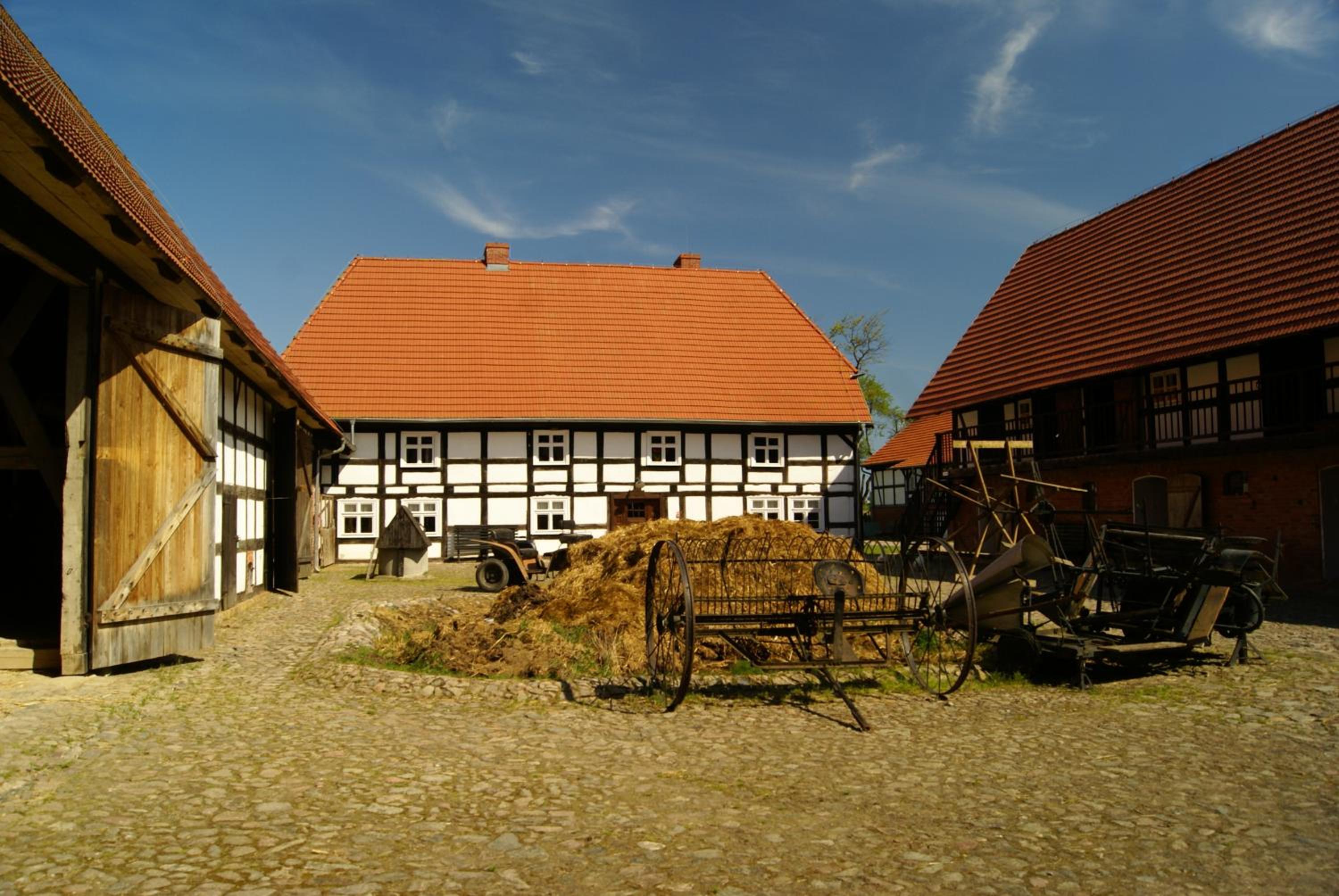 Photo 15