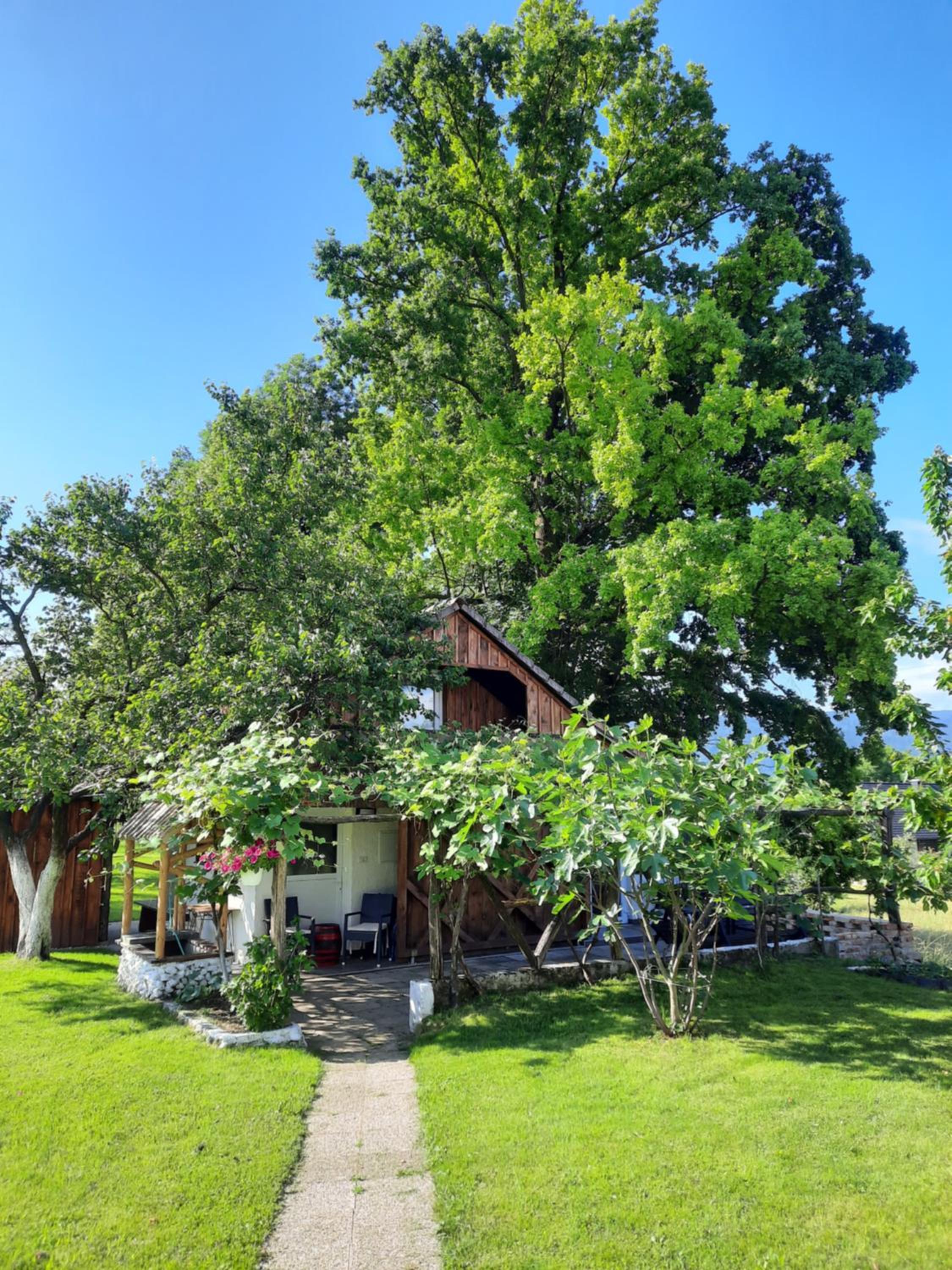 Guesthouse ANKL view 5