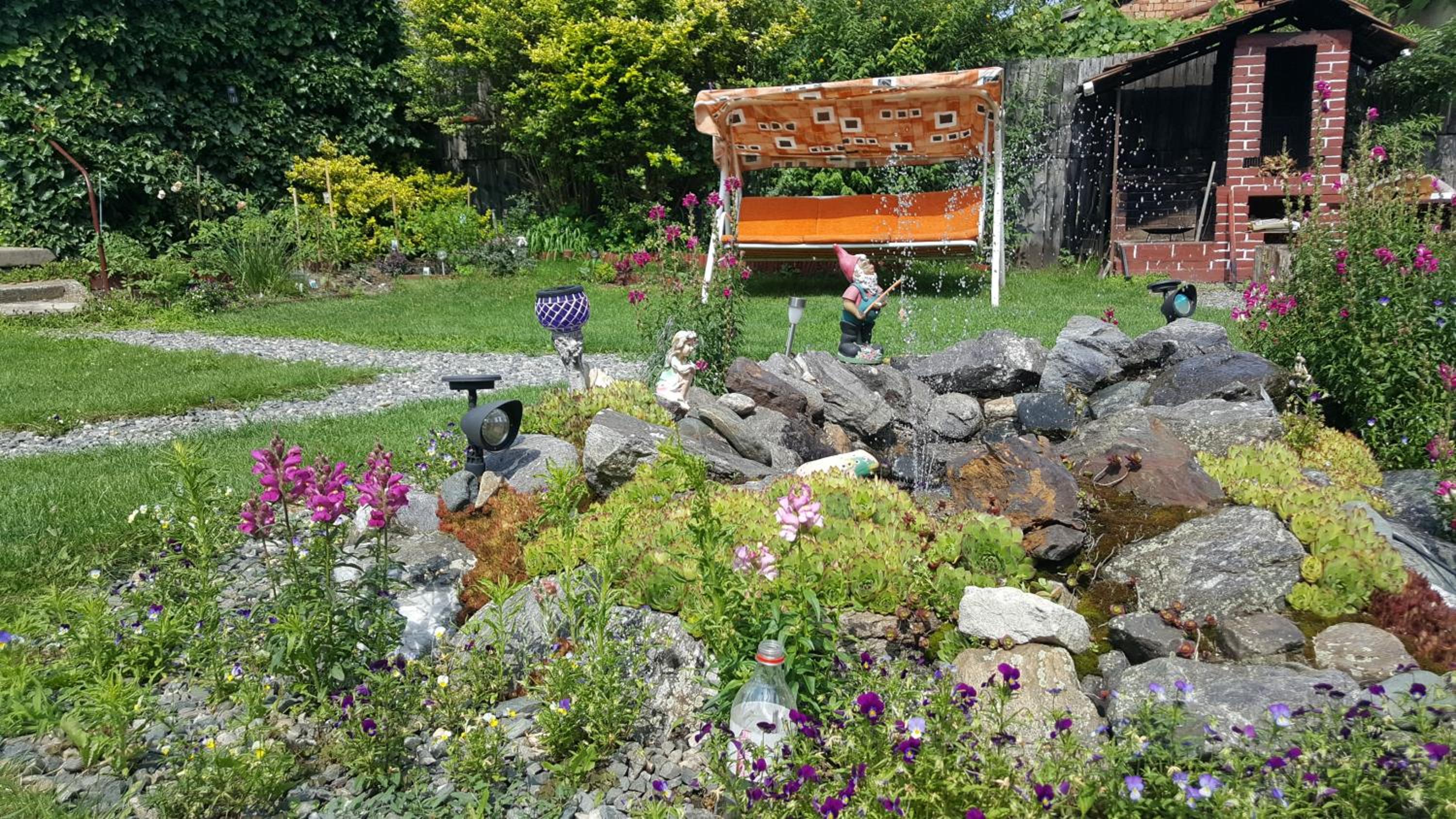 Photo 11