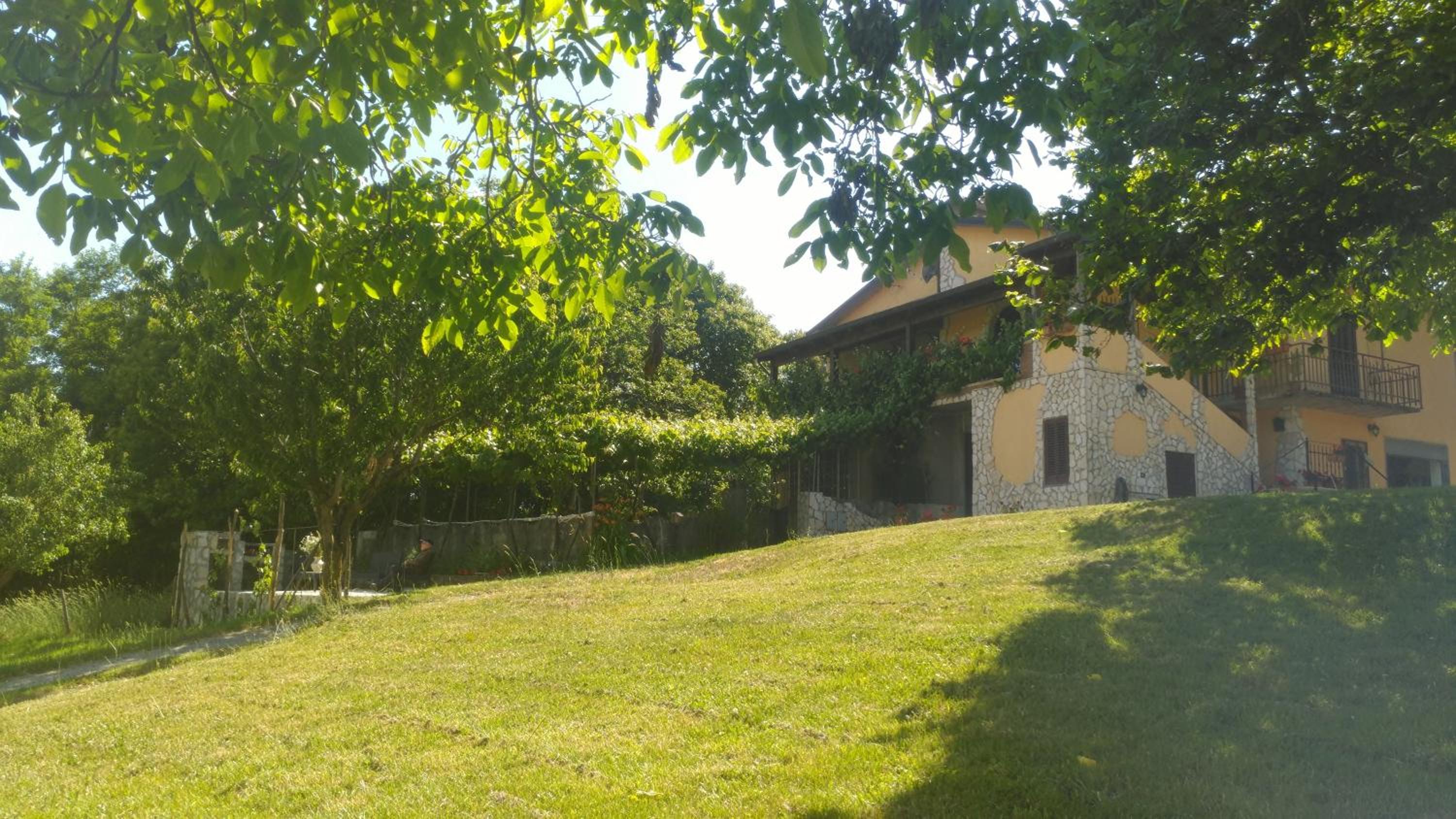 Photo 16