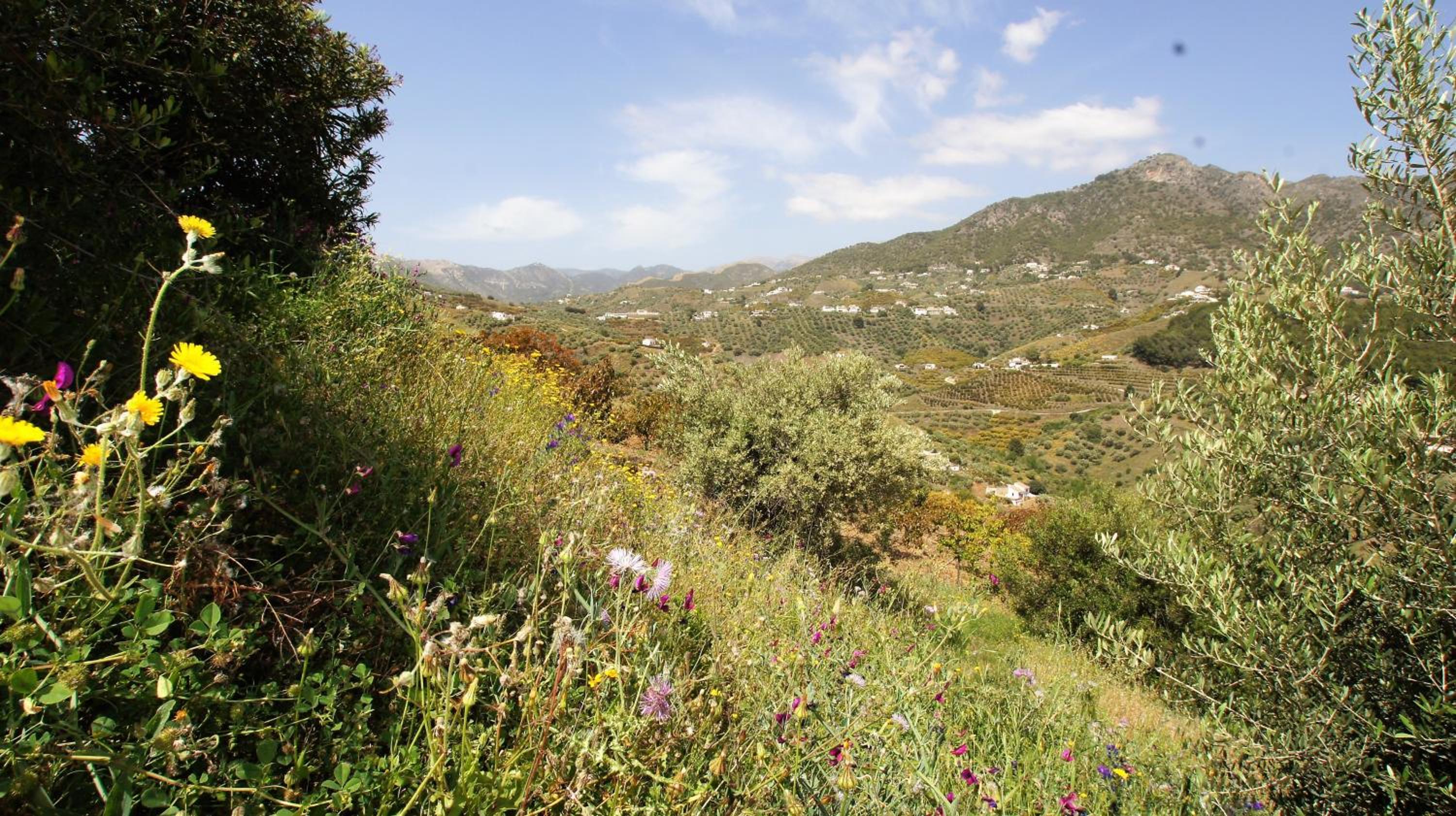 Casa del Cielo view 2
