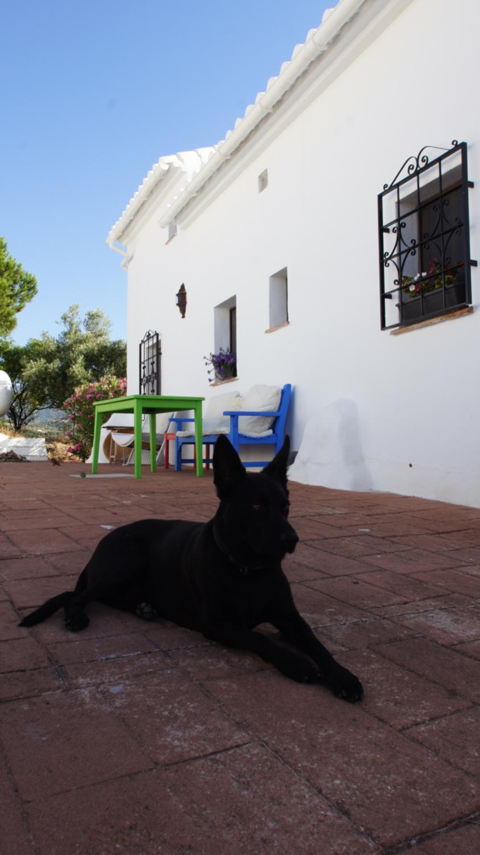 Casa del Cielo view 5