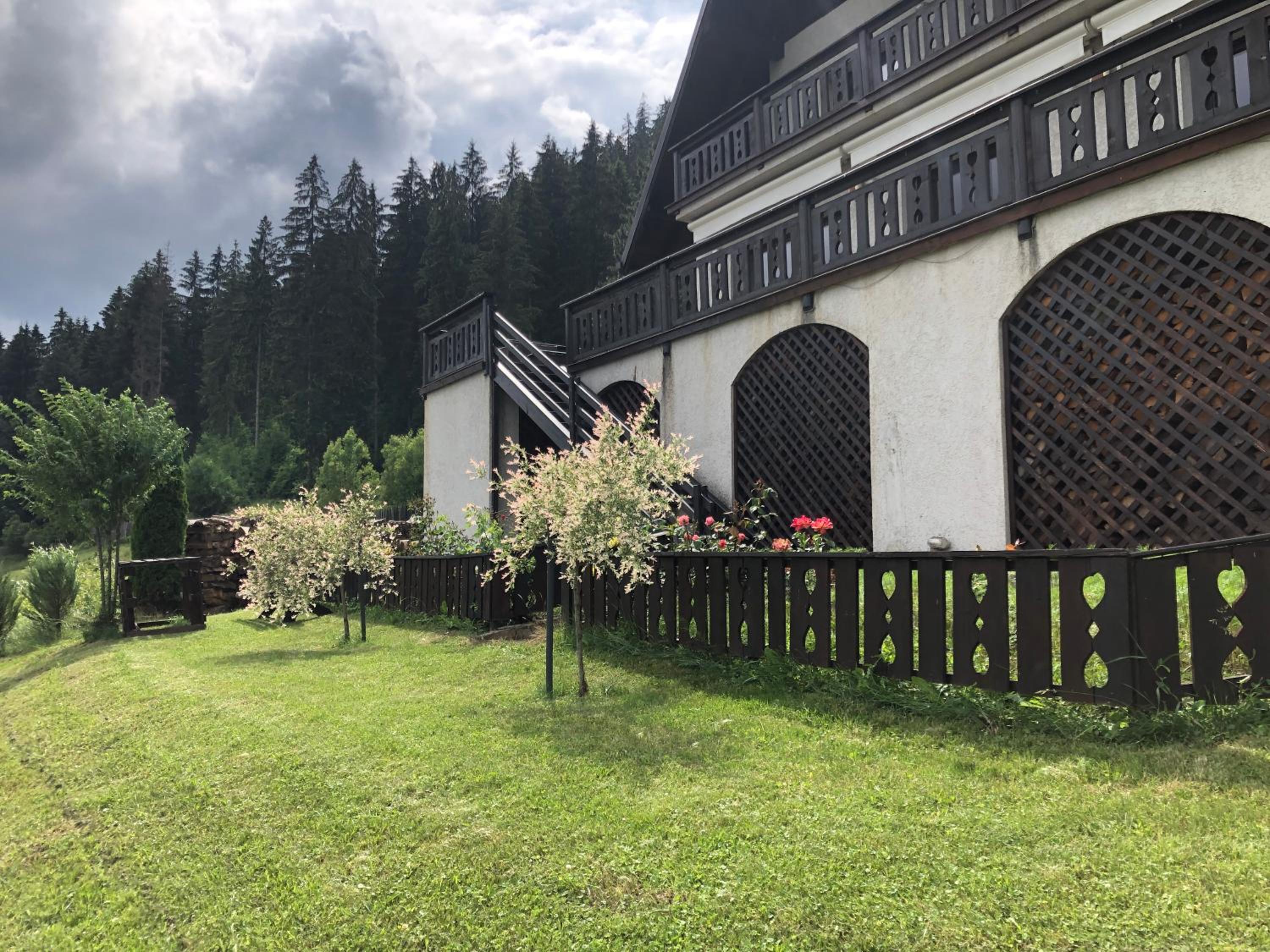 Bucovina Lodge Pension view 4