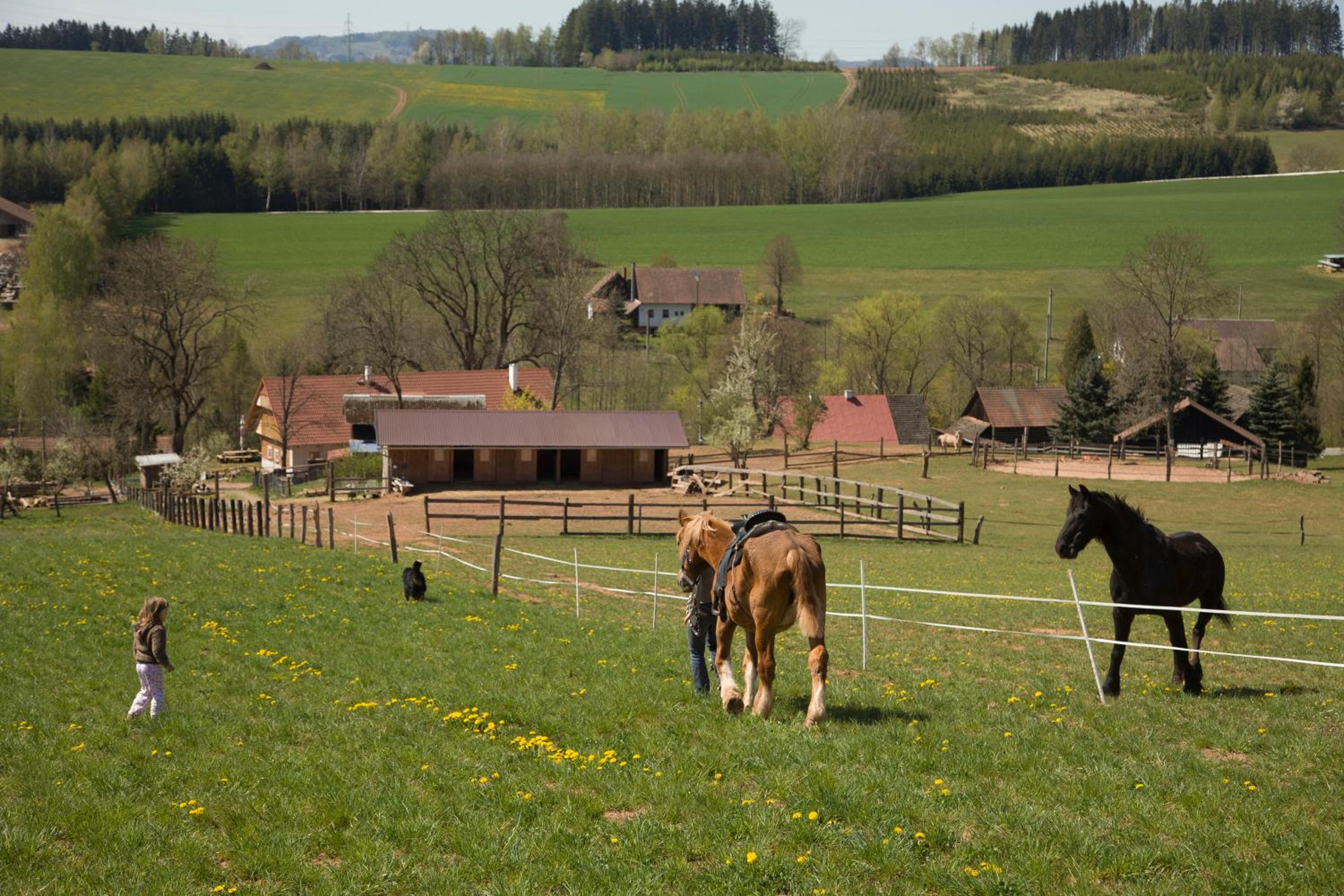 Farma Hermína