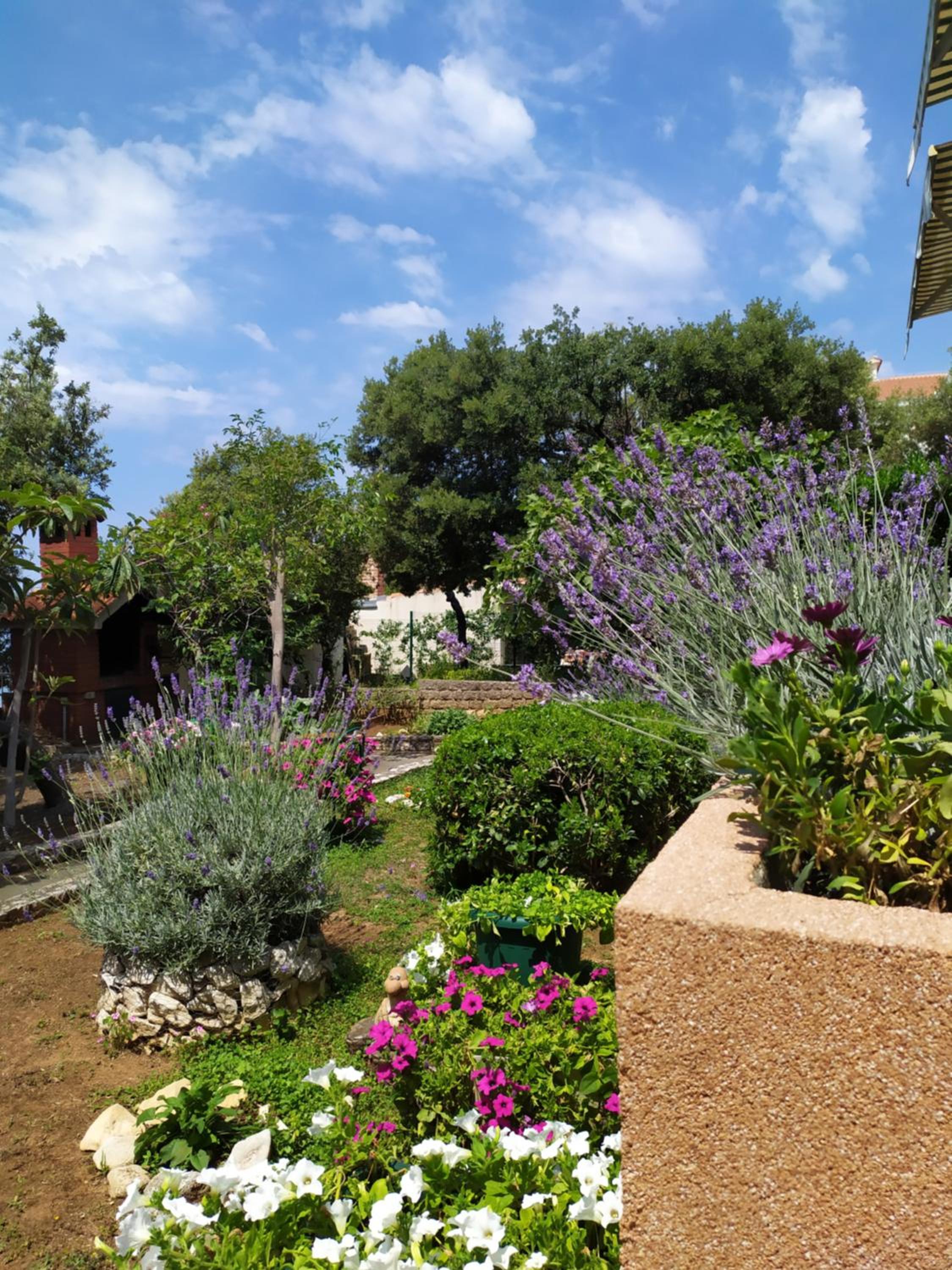 Apartment PALATISA