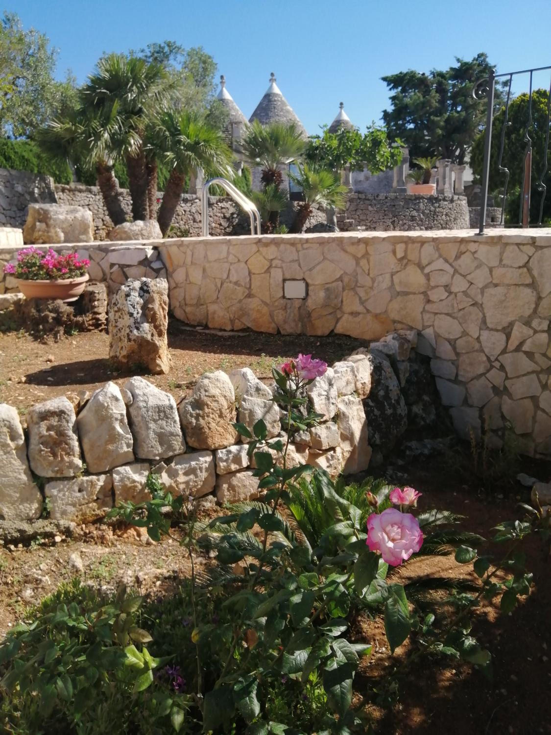 Photo 35