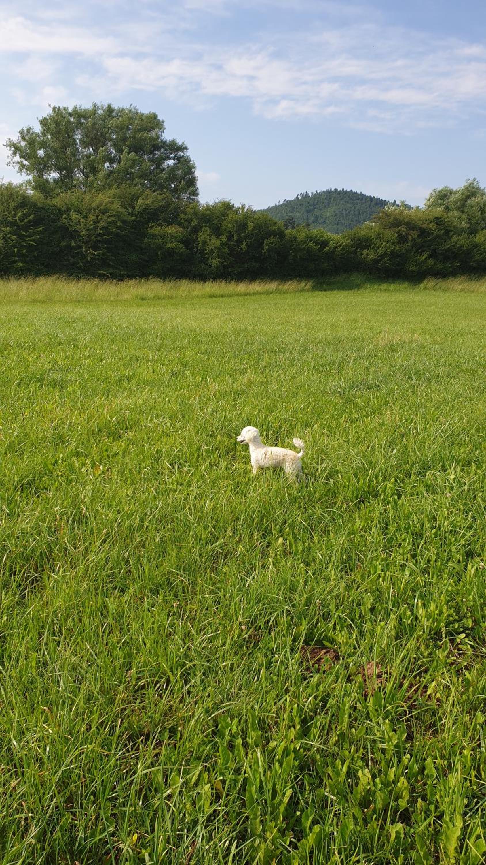 Photo 22
