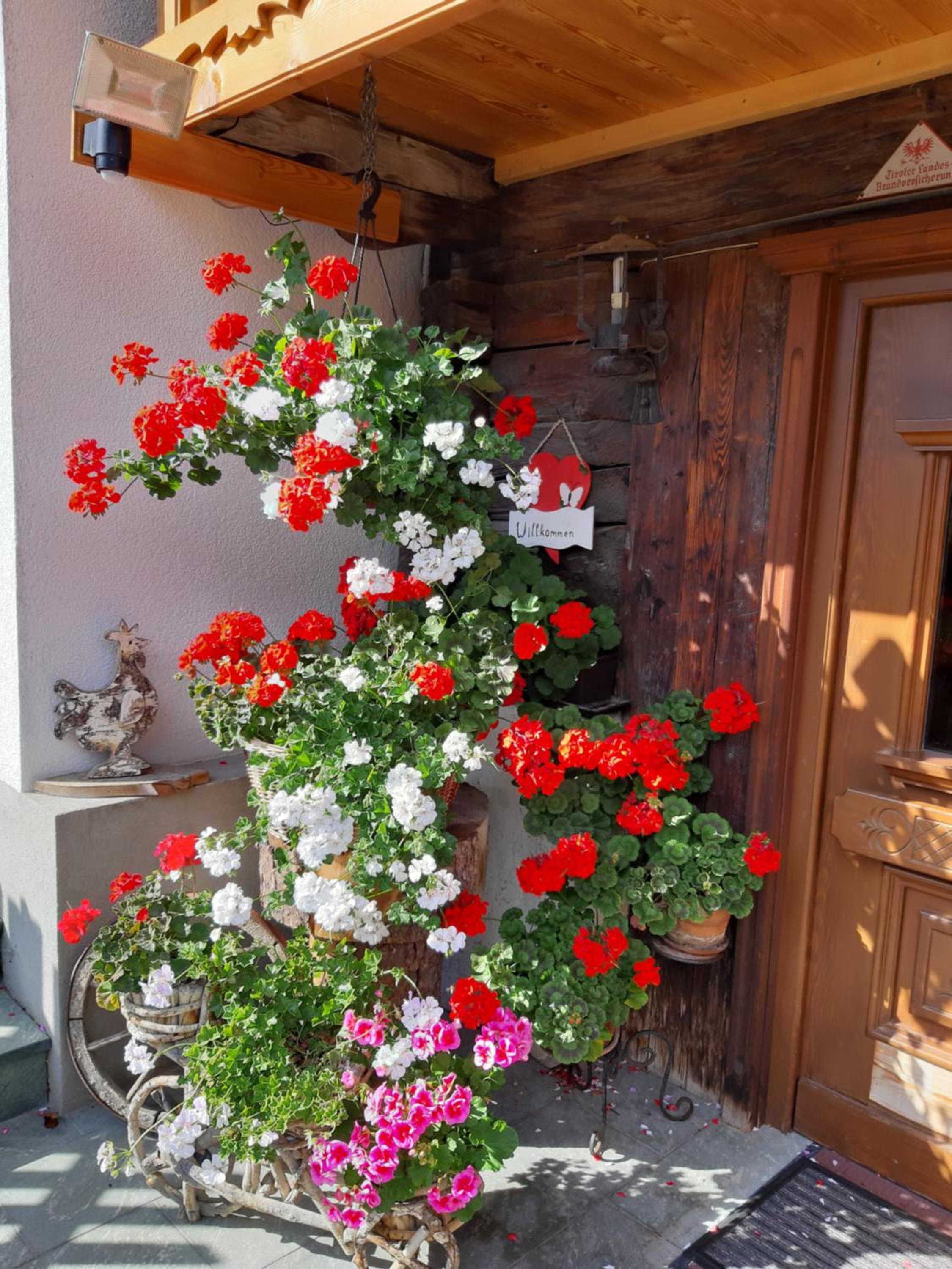 Ferienhaus Grofn