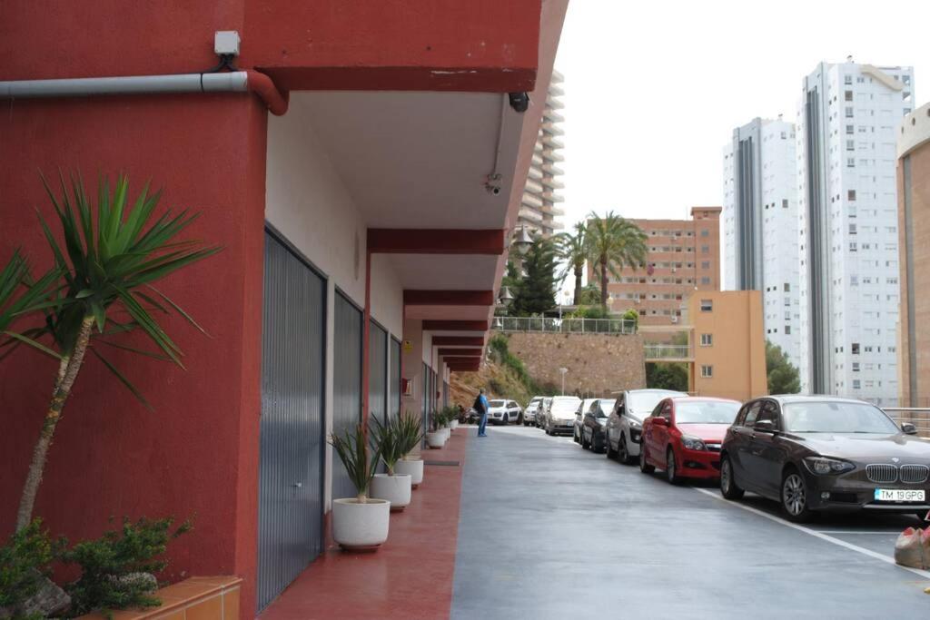Photo 11