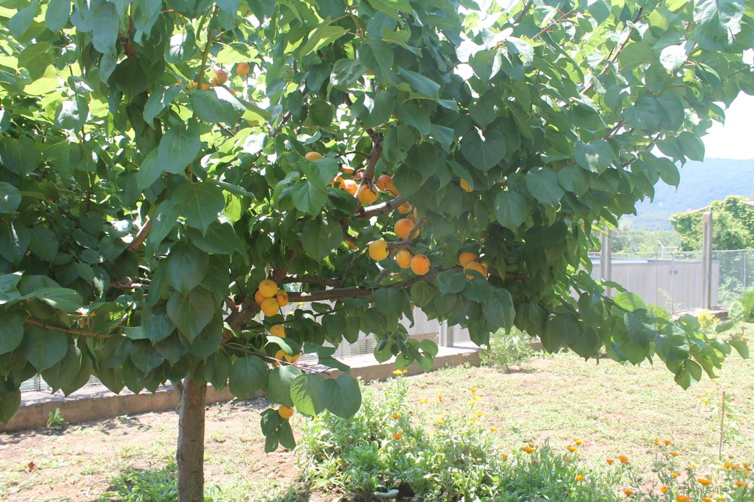 Photo 40