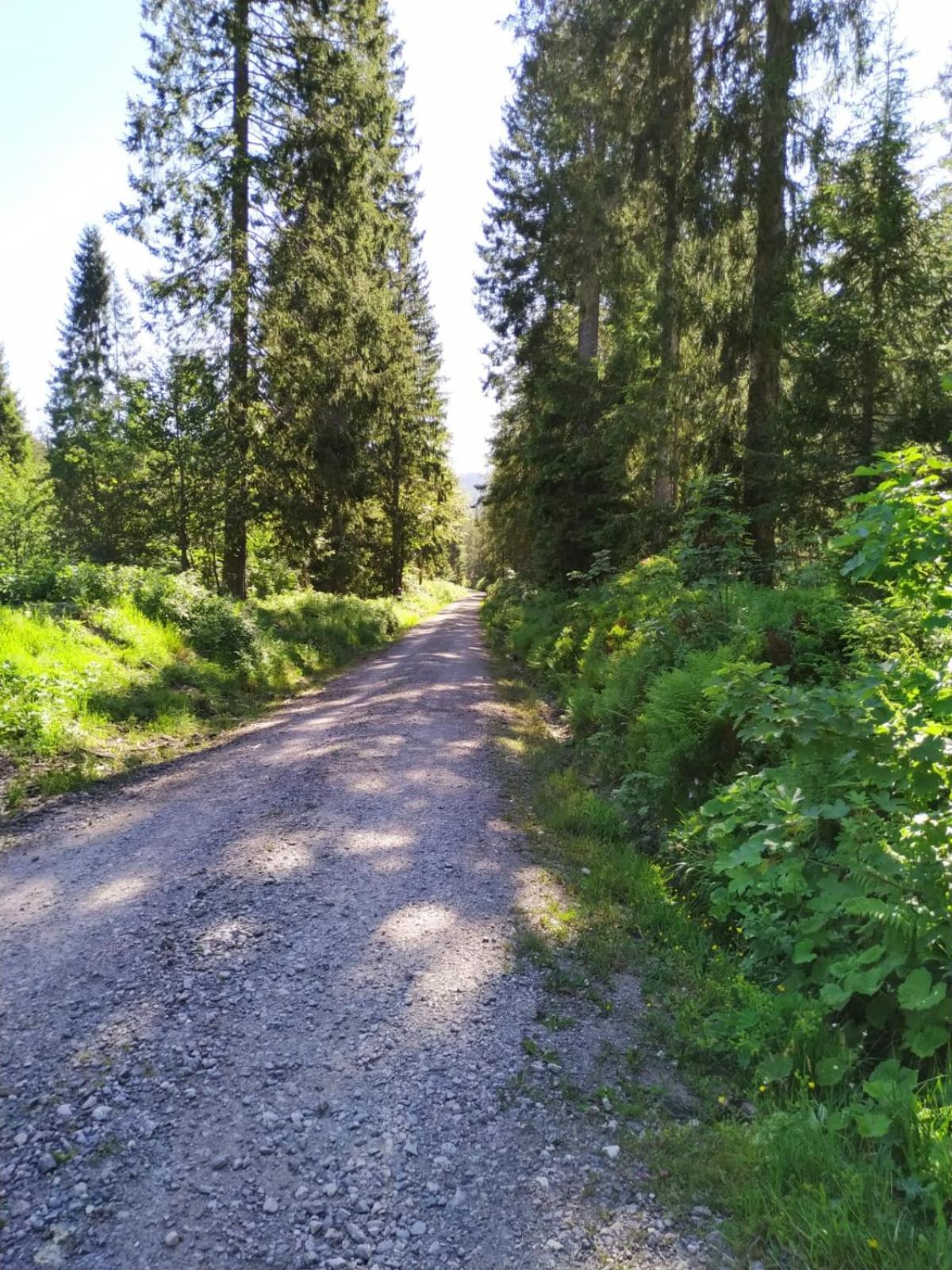 Ferienwohnung Feldberg - Residenz Grafenmatt