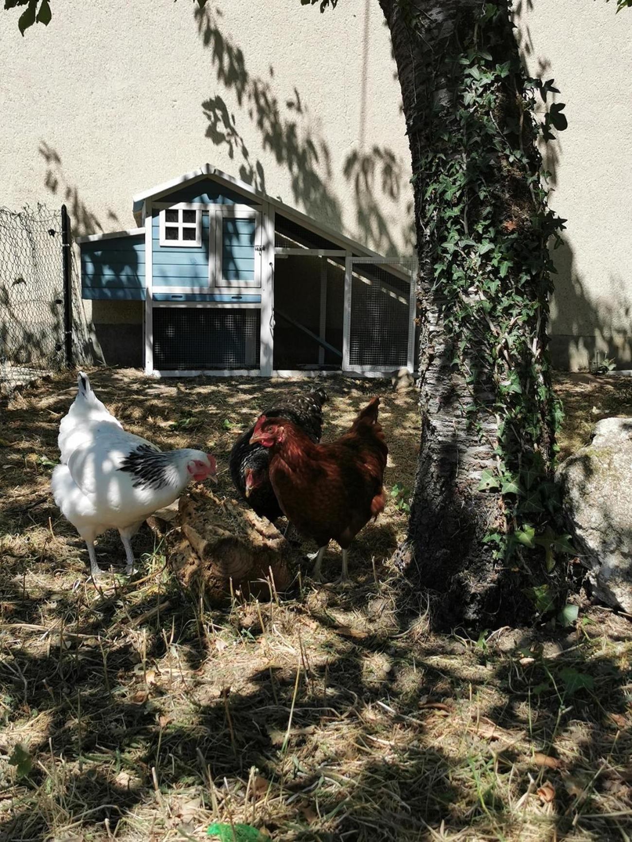 Photo 26