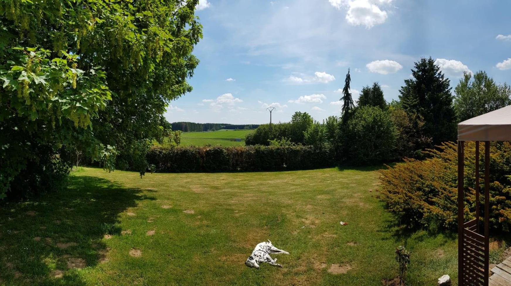 Les Glycines