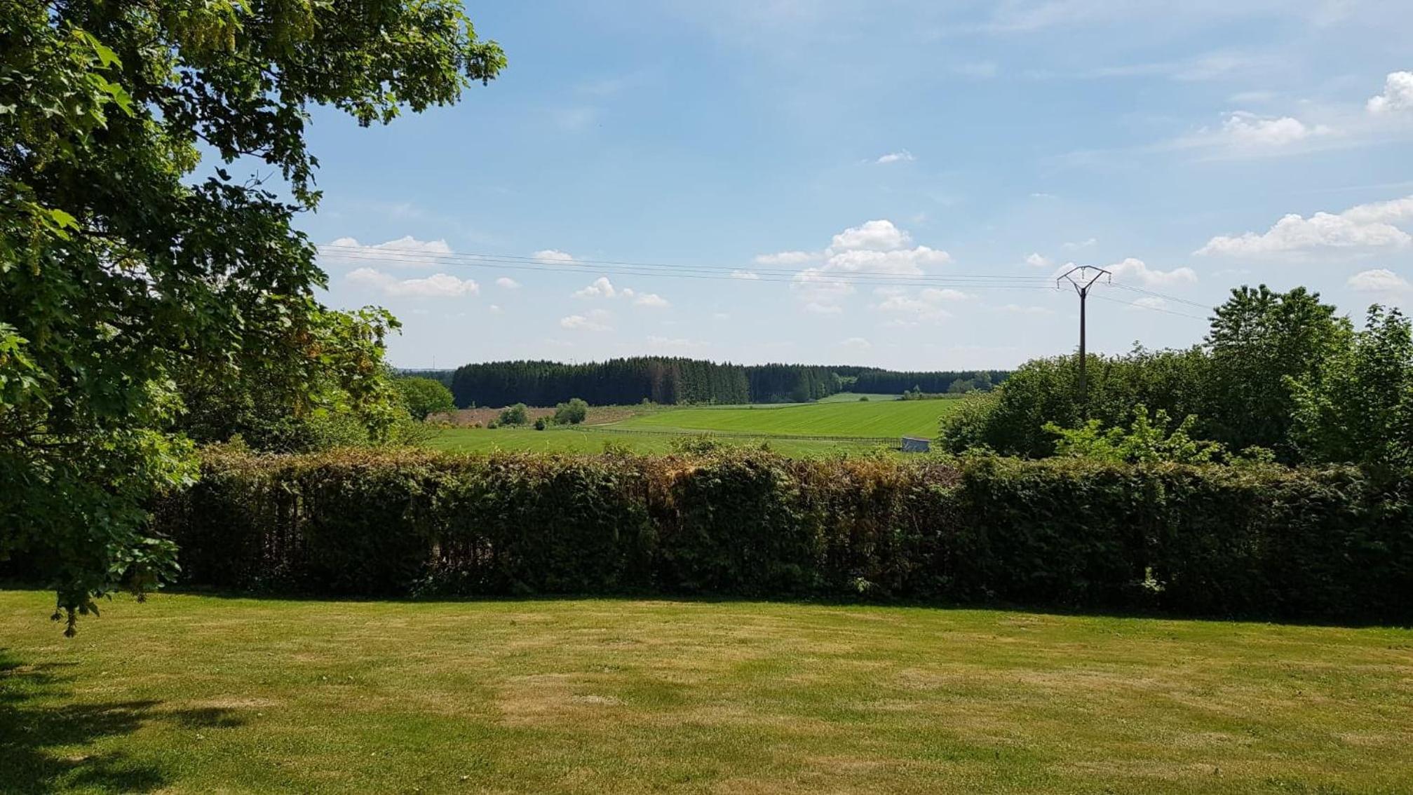 Les Glycines