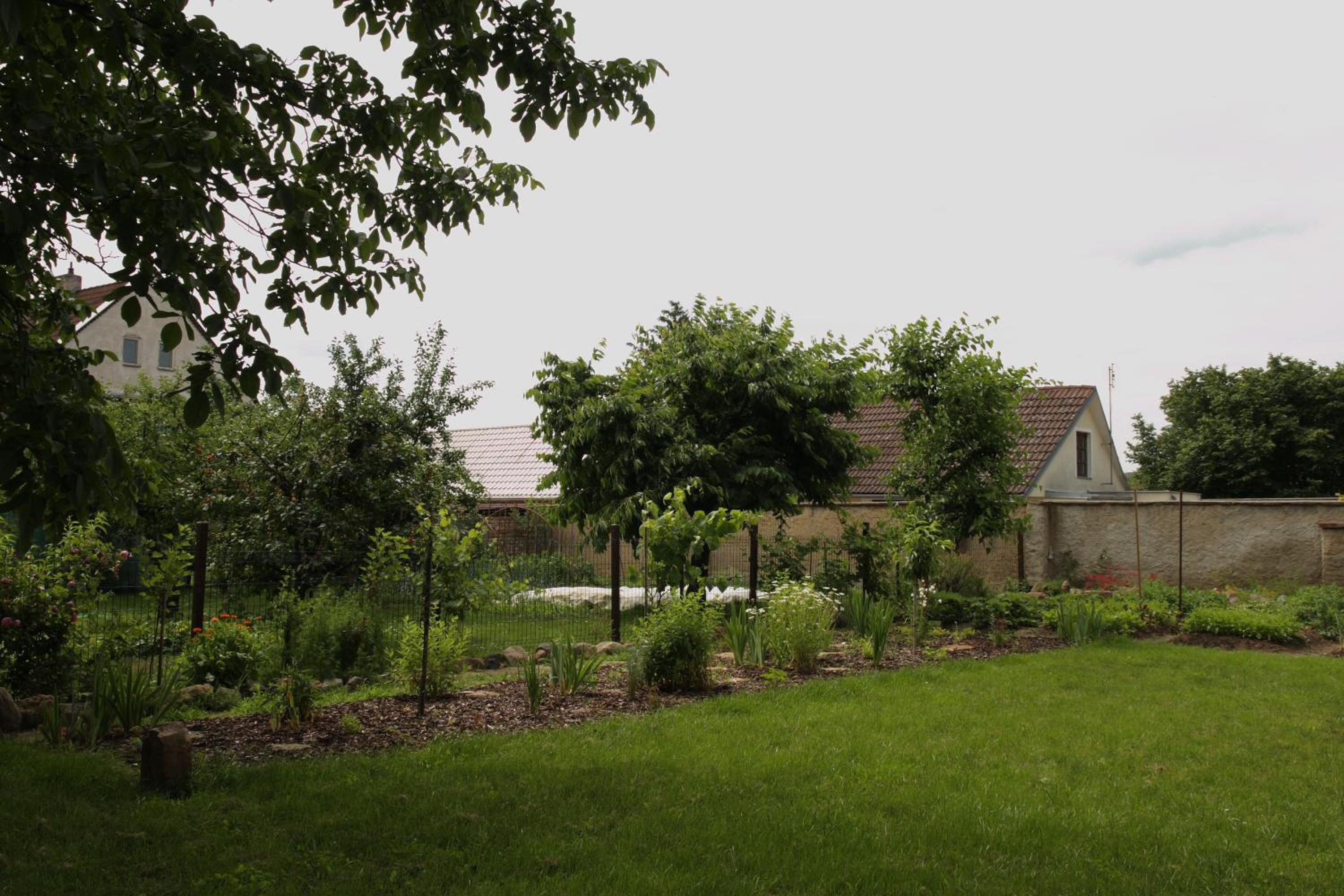 Photo 14