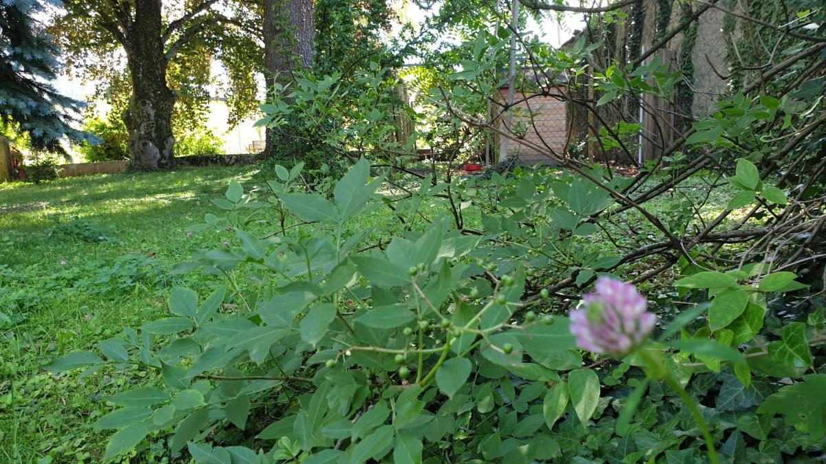 Photo 42