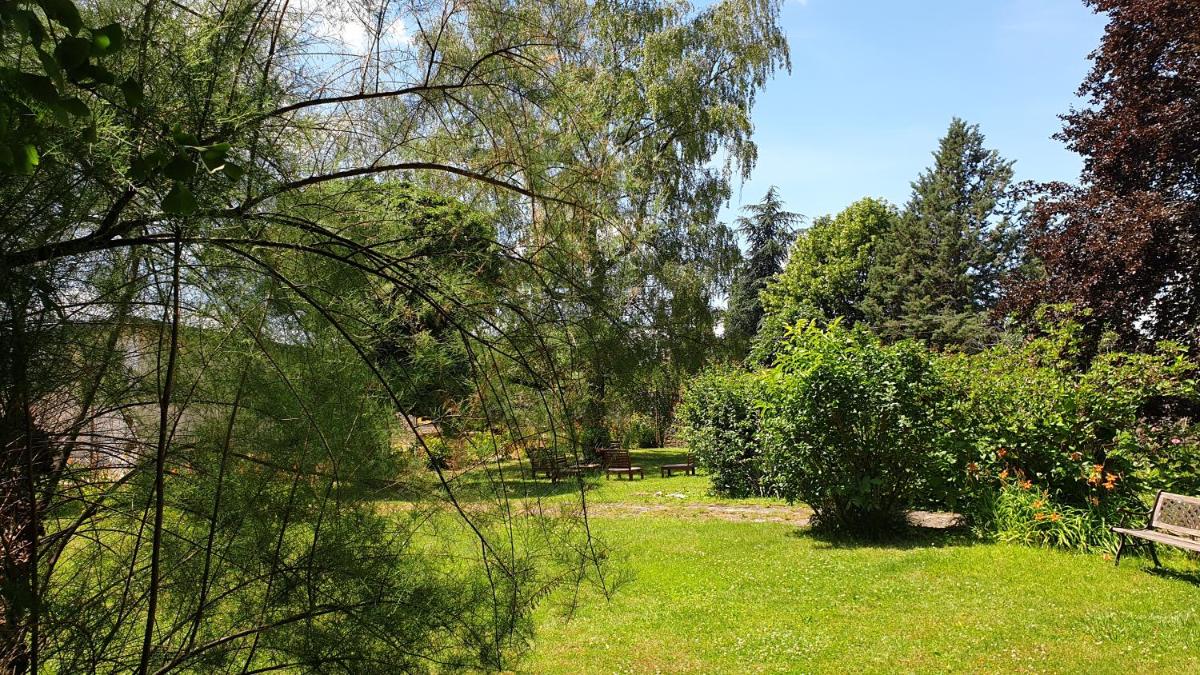 Photo 37