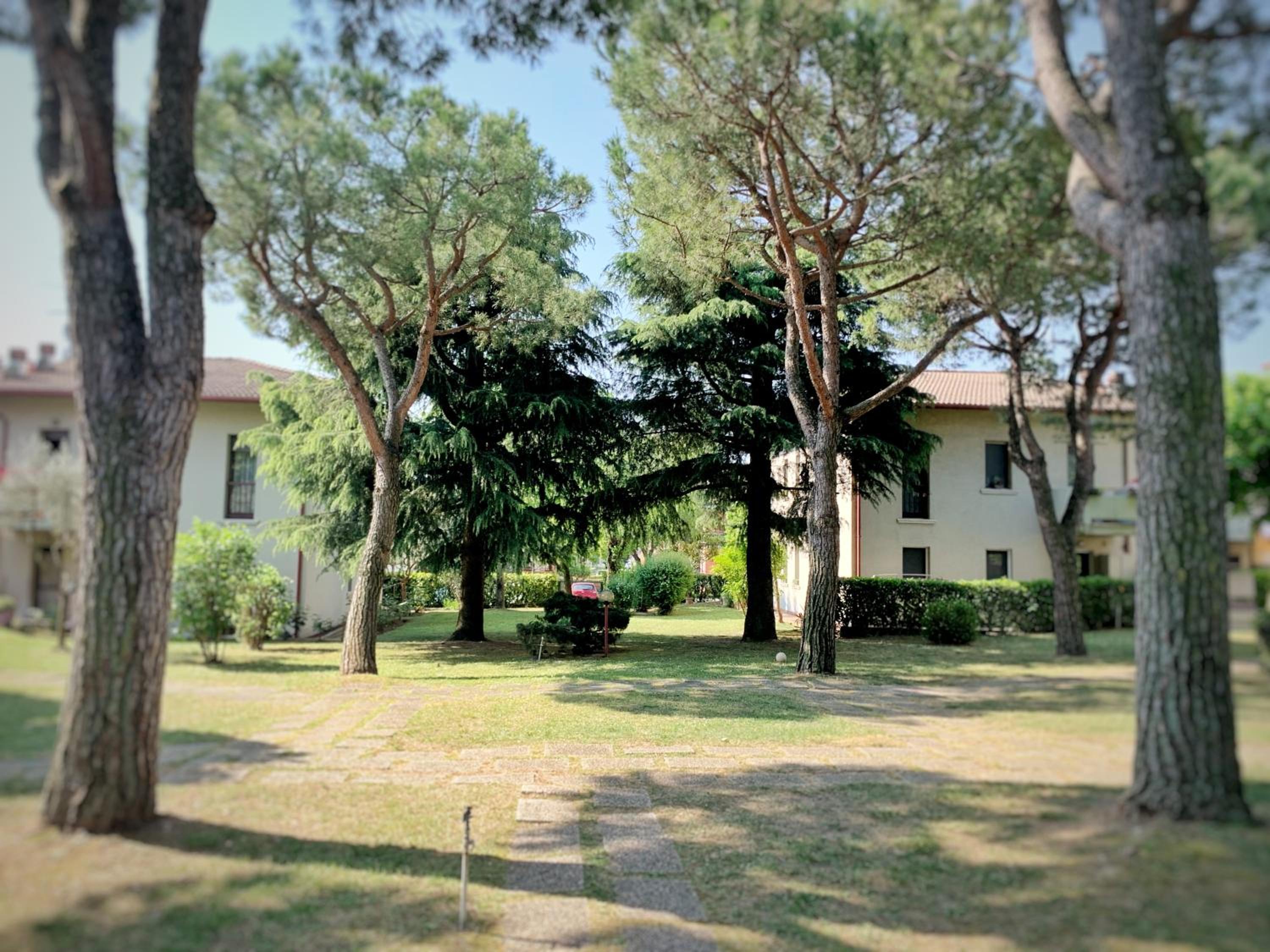 Photo 35