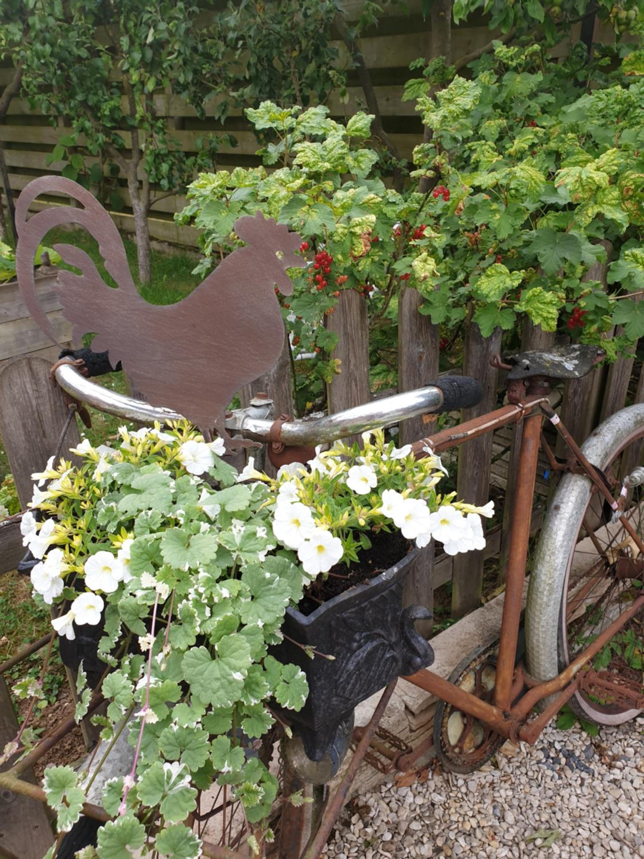 Photo 20