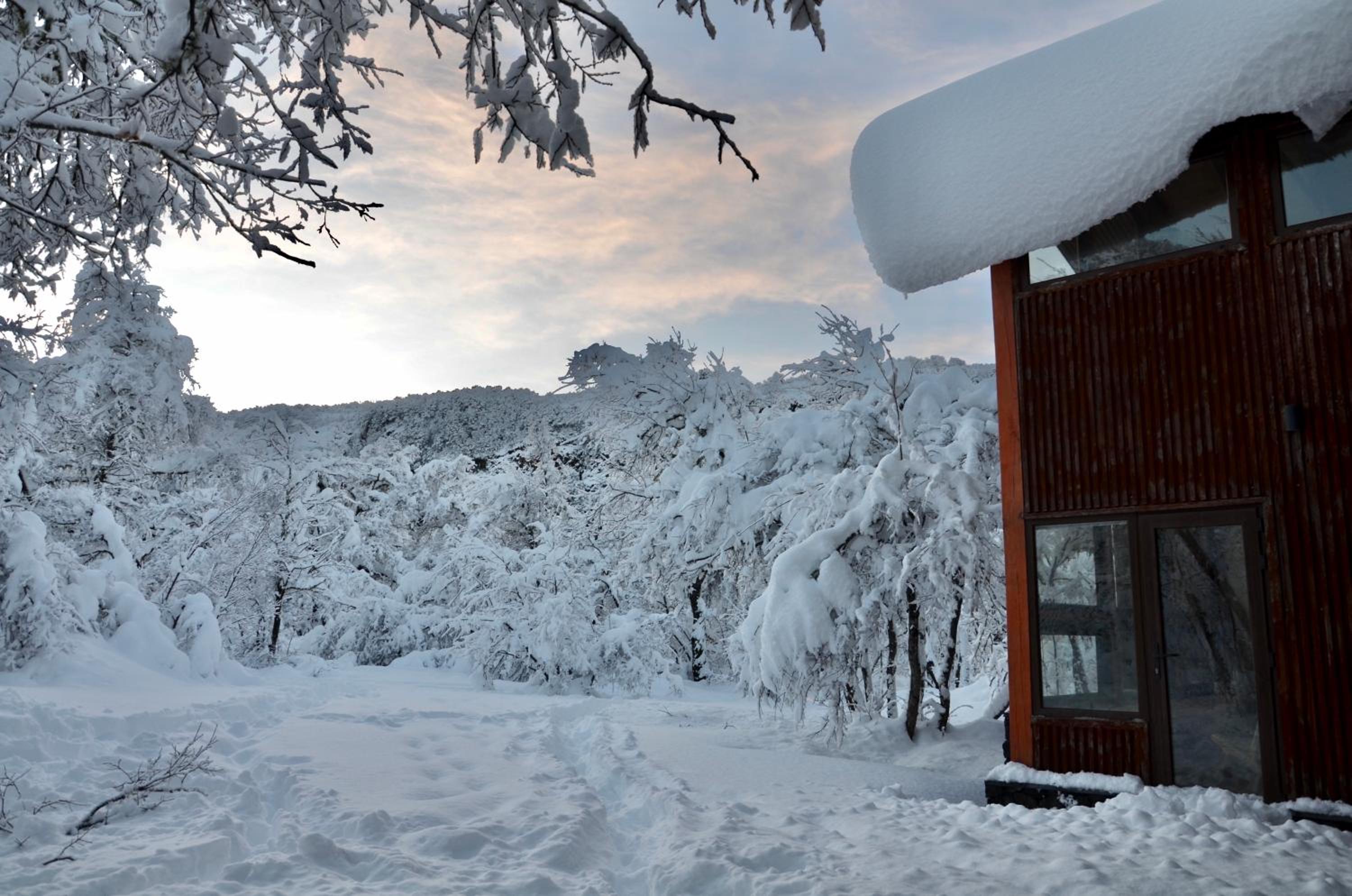 Chalet Ciprés