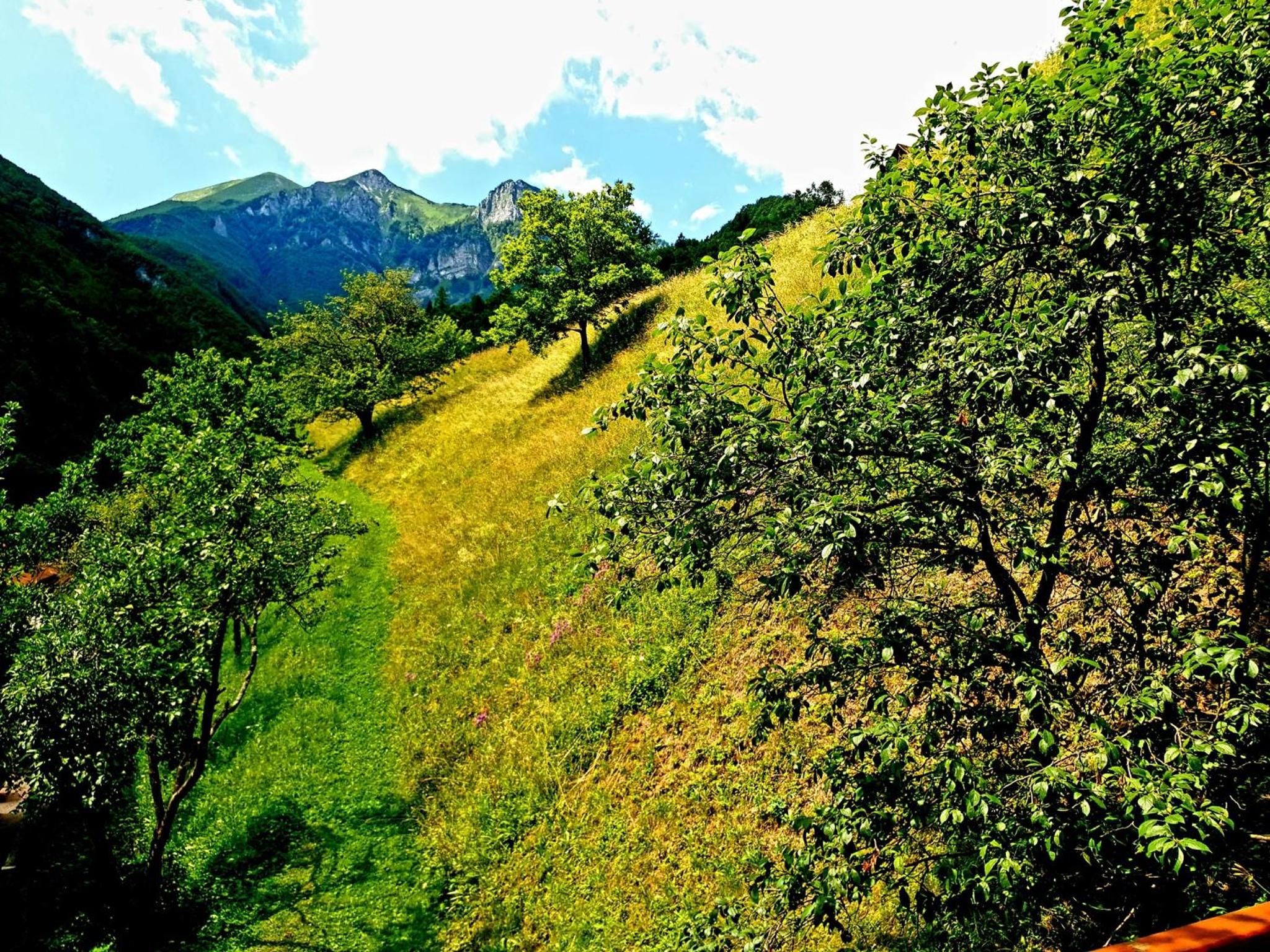Photo 25