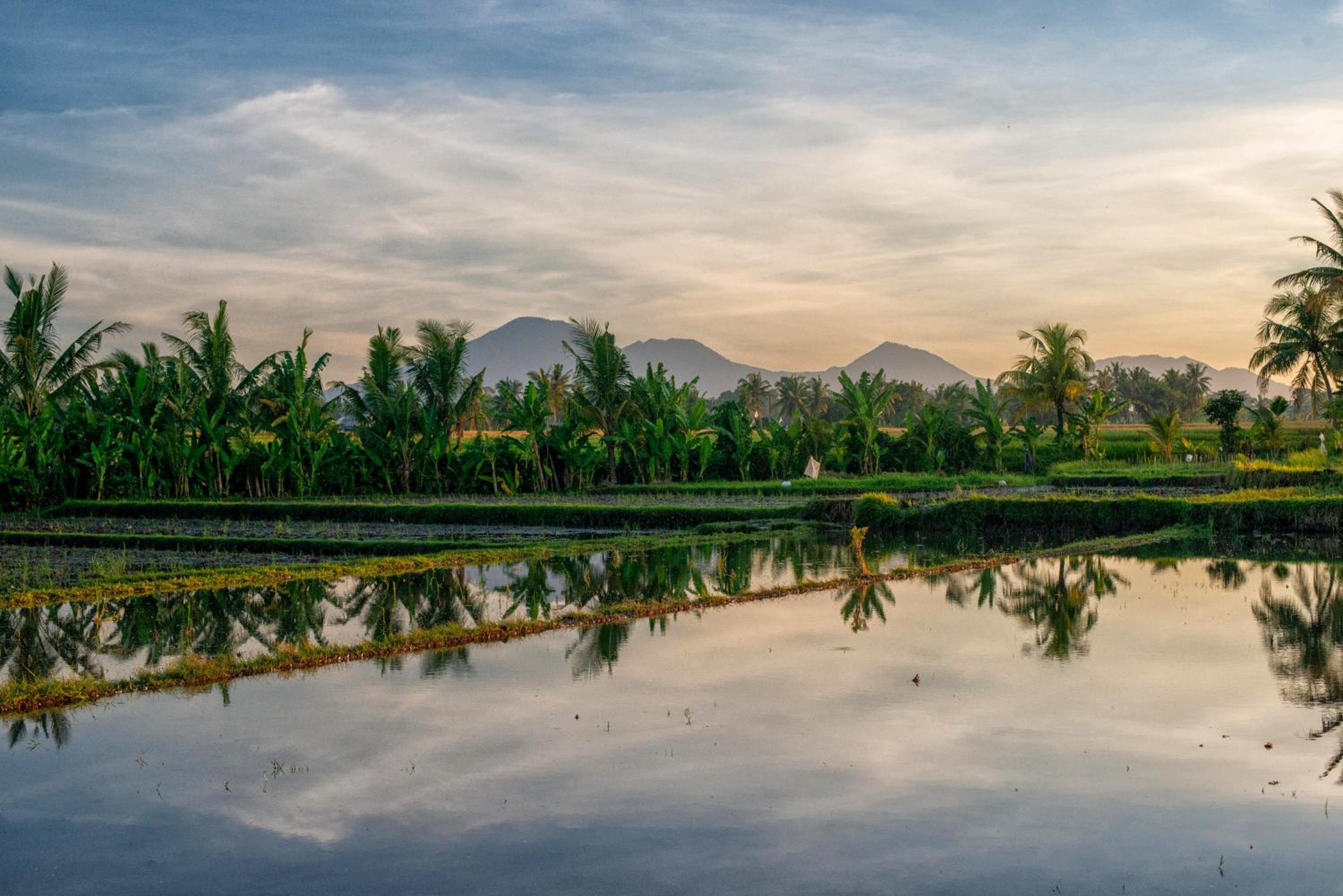 Ulaman Eco Luxury Resort 58
