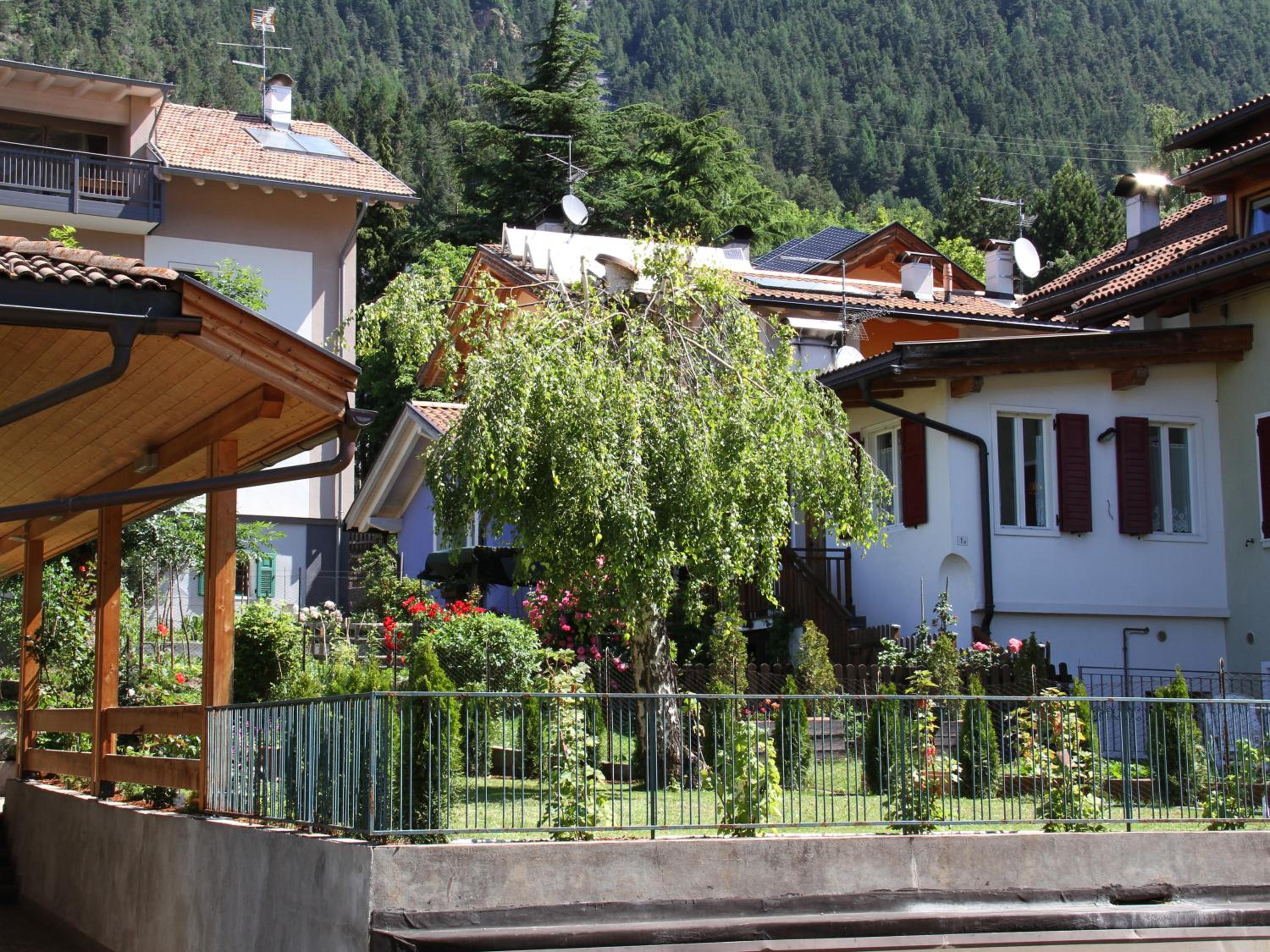 Photo 46