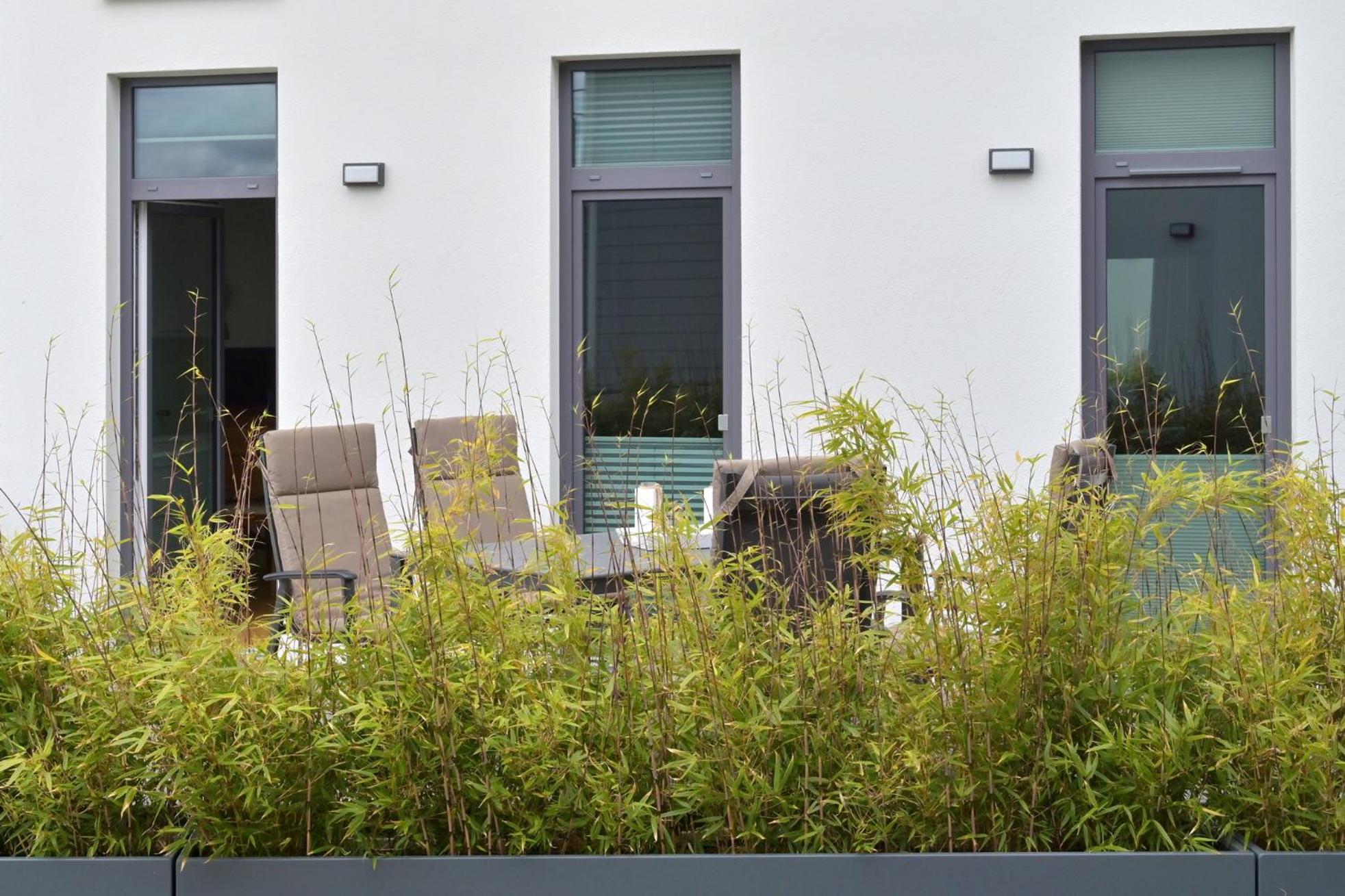 Ferienwohnung Sonnenterrasse view 5