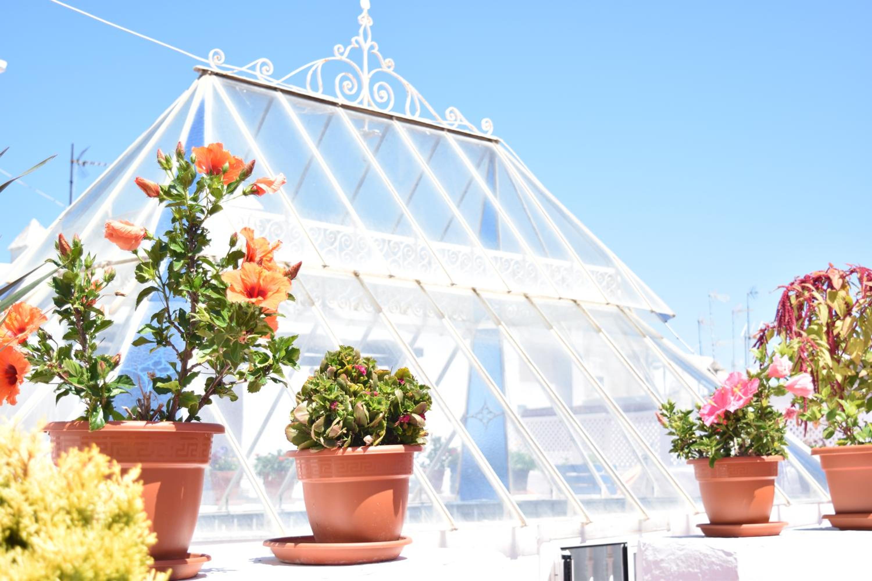 roof