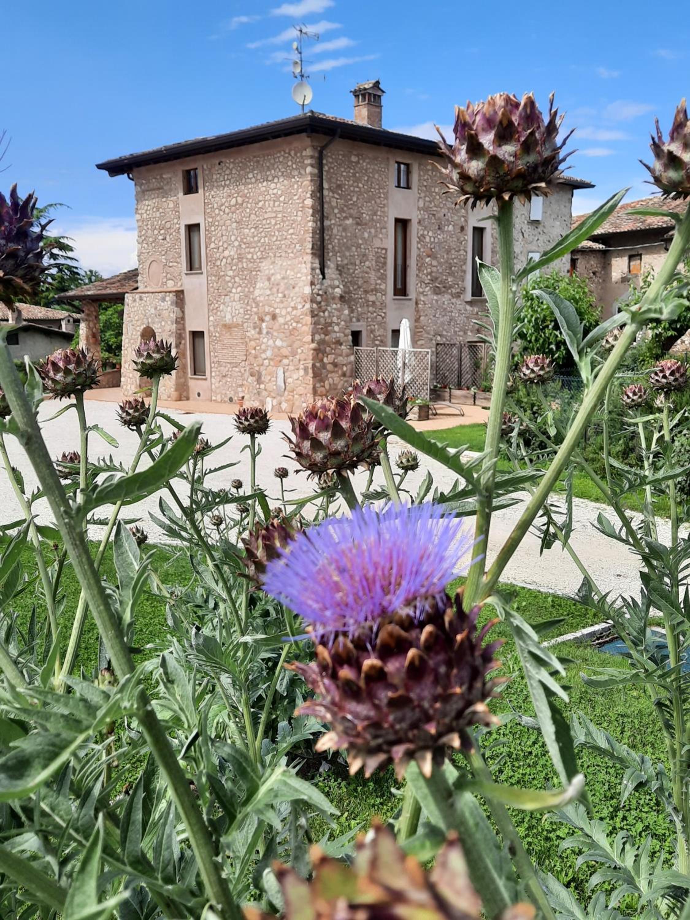 Corte Davini Agriturismo view 3
