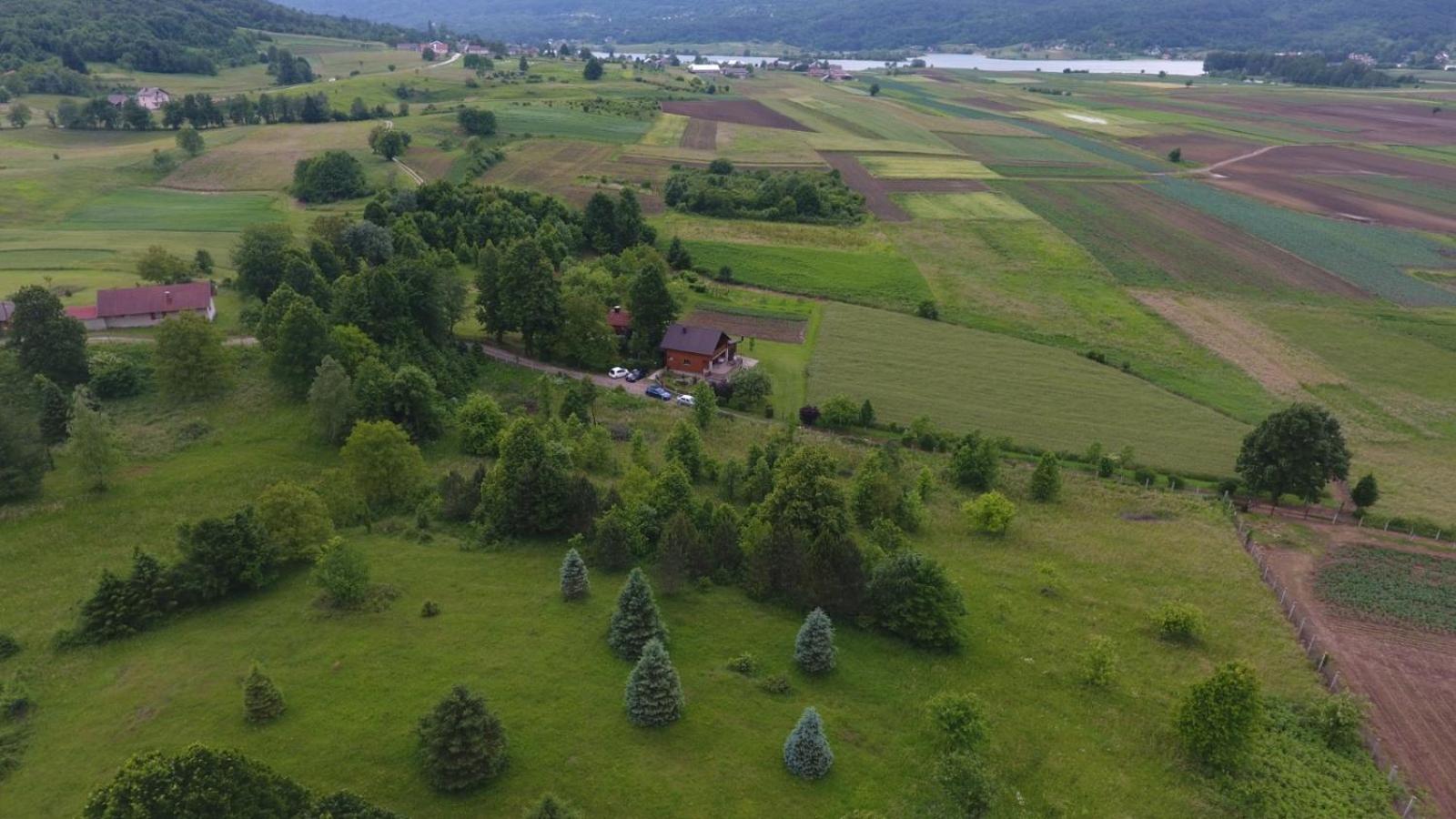 Kuća za odmor ANAMARIJA view 2
