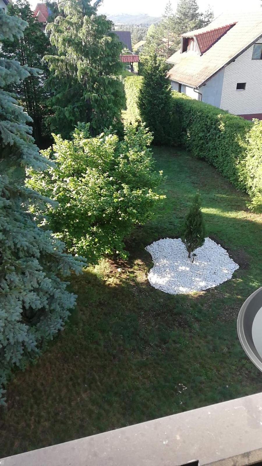 Photo 49
