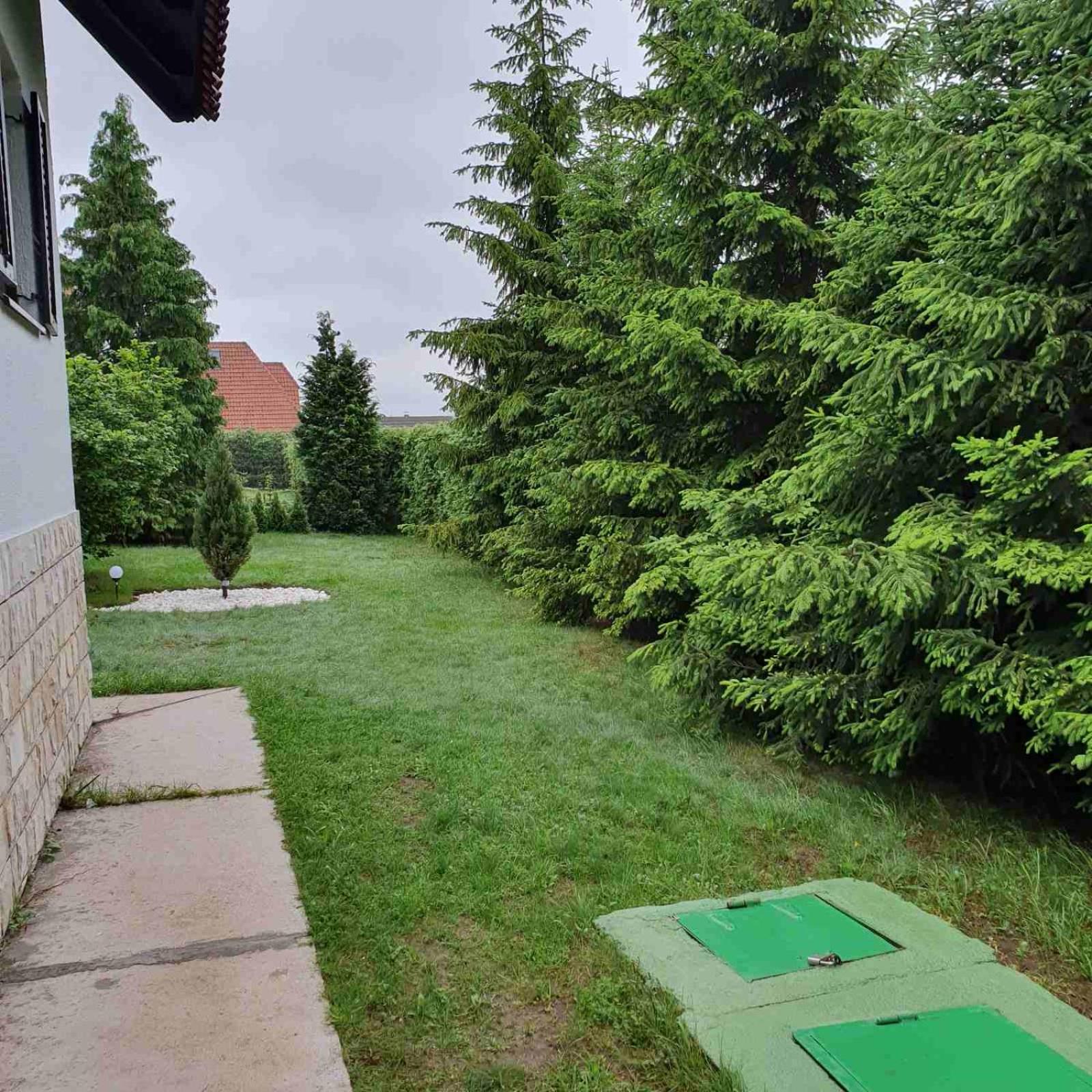 Photo 56