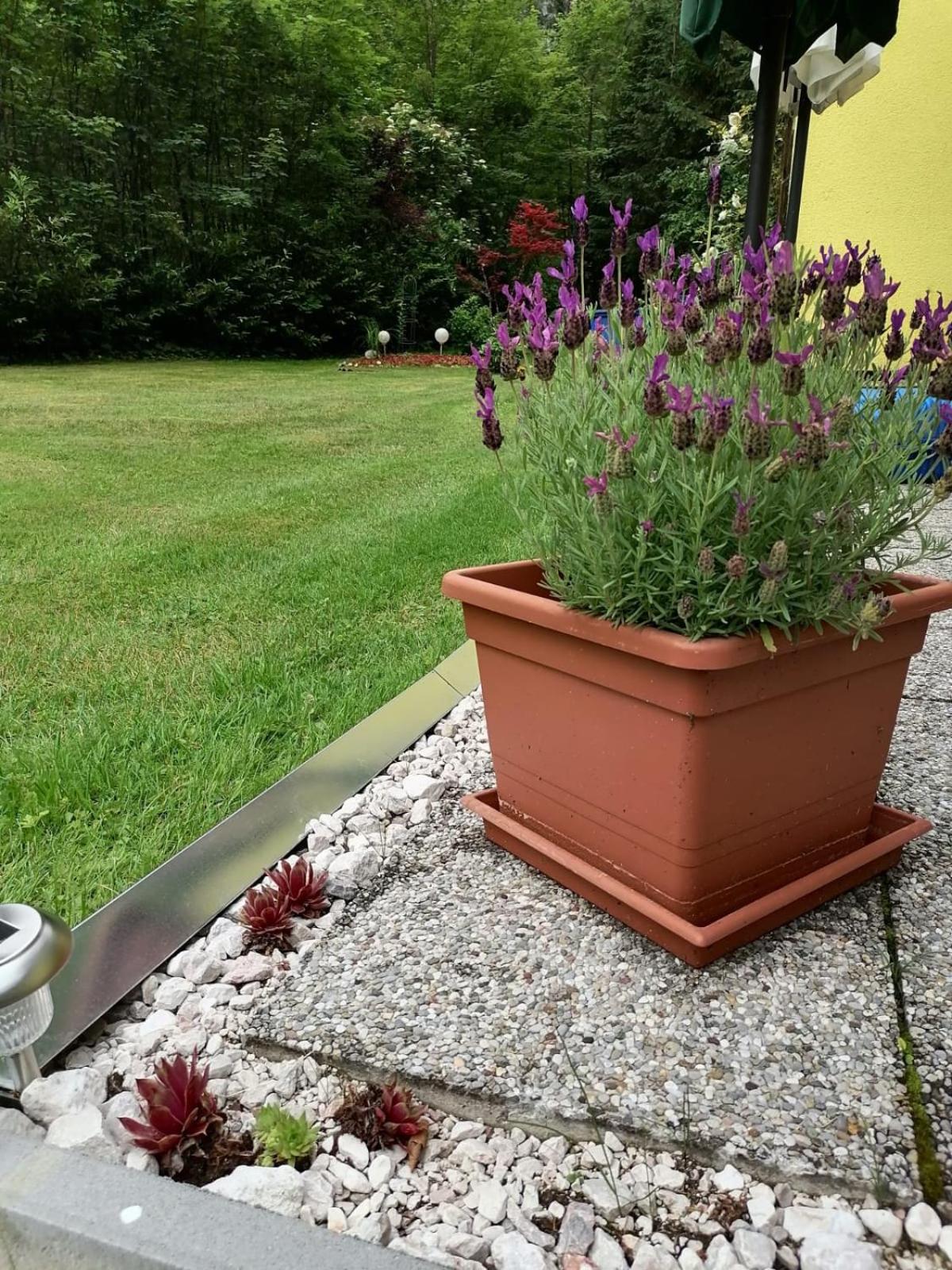 Haus Waldbach