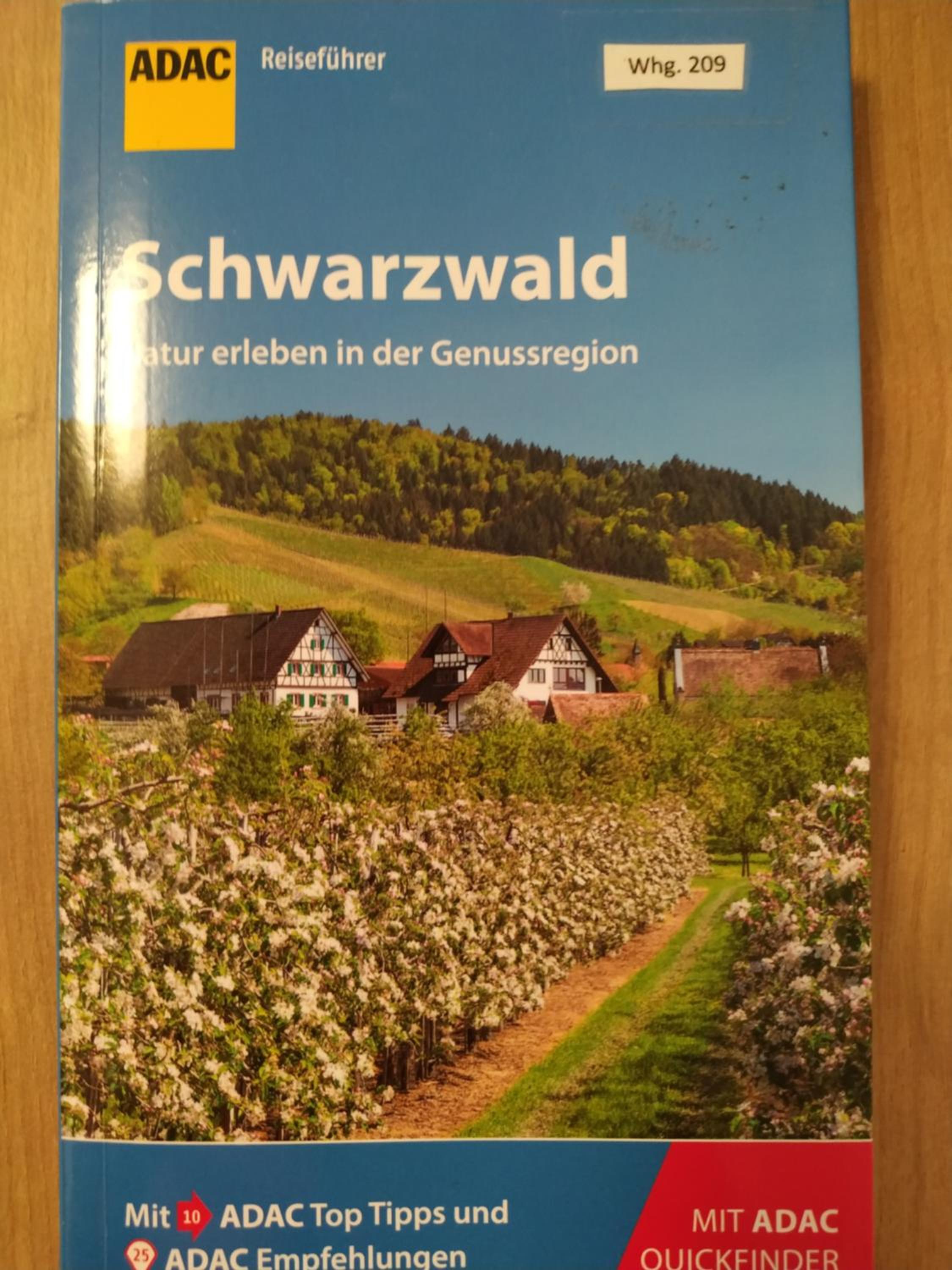 Ferienwohnung Feldberg - Residenz Grafenmatt