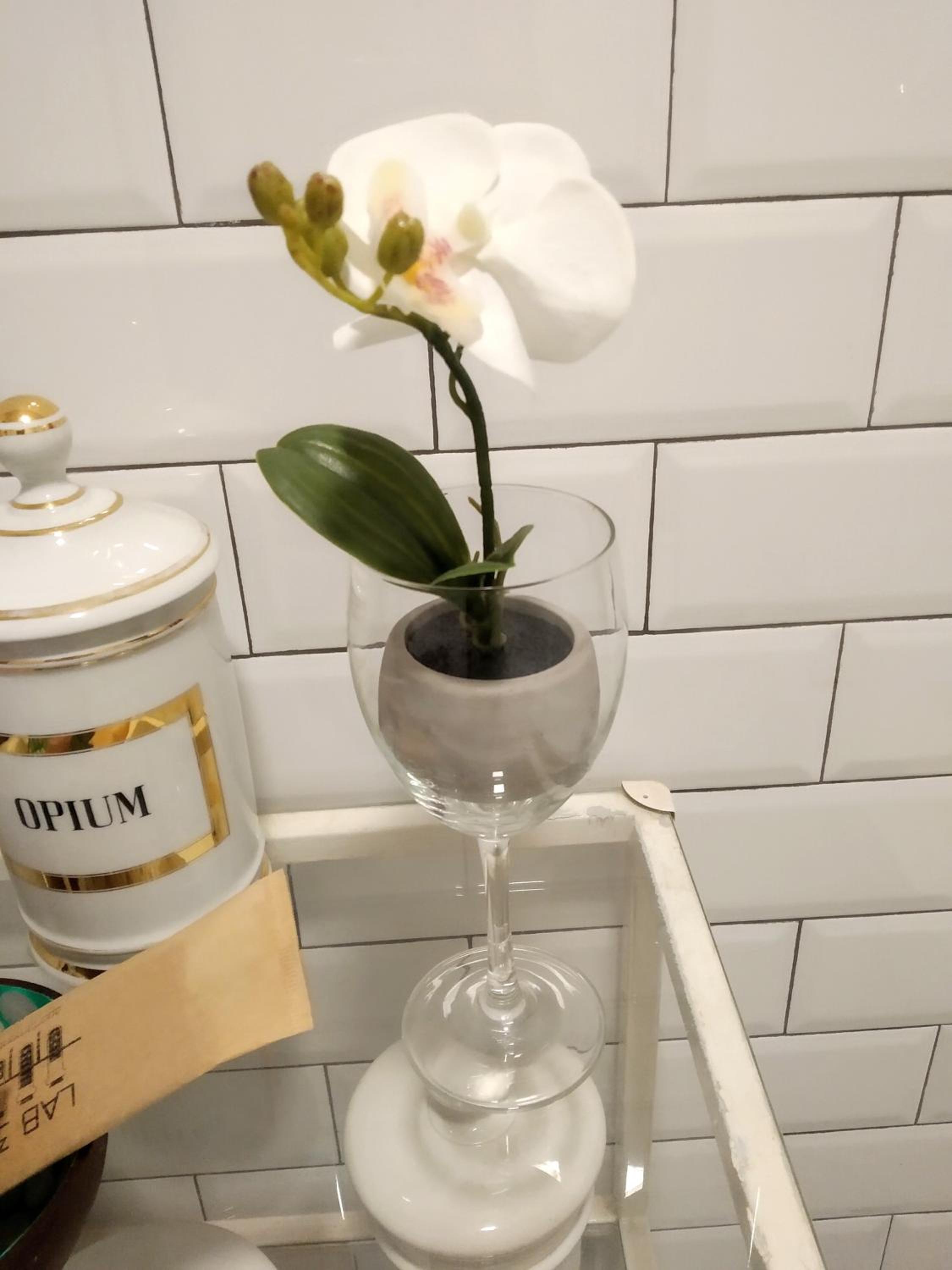 LAB 36 Apartaments