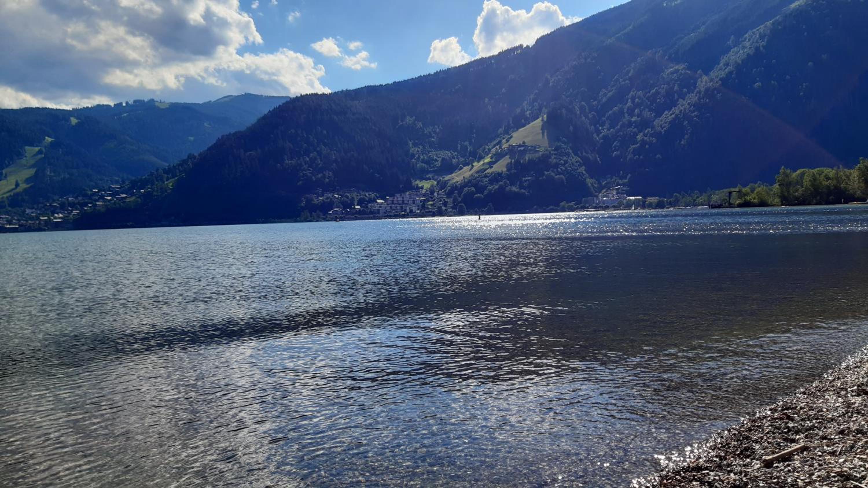Wildente am See