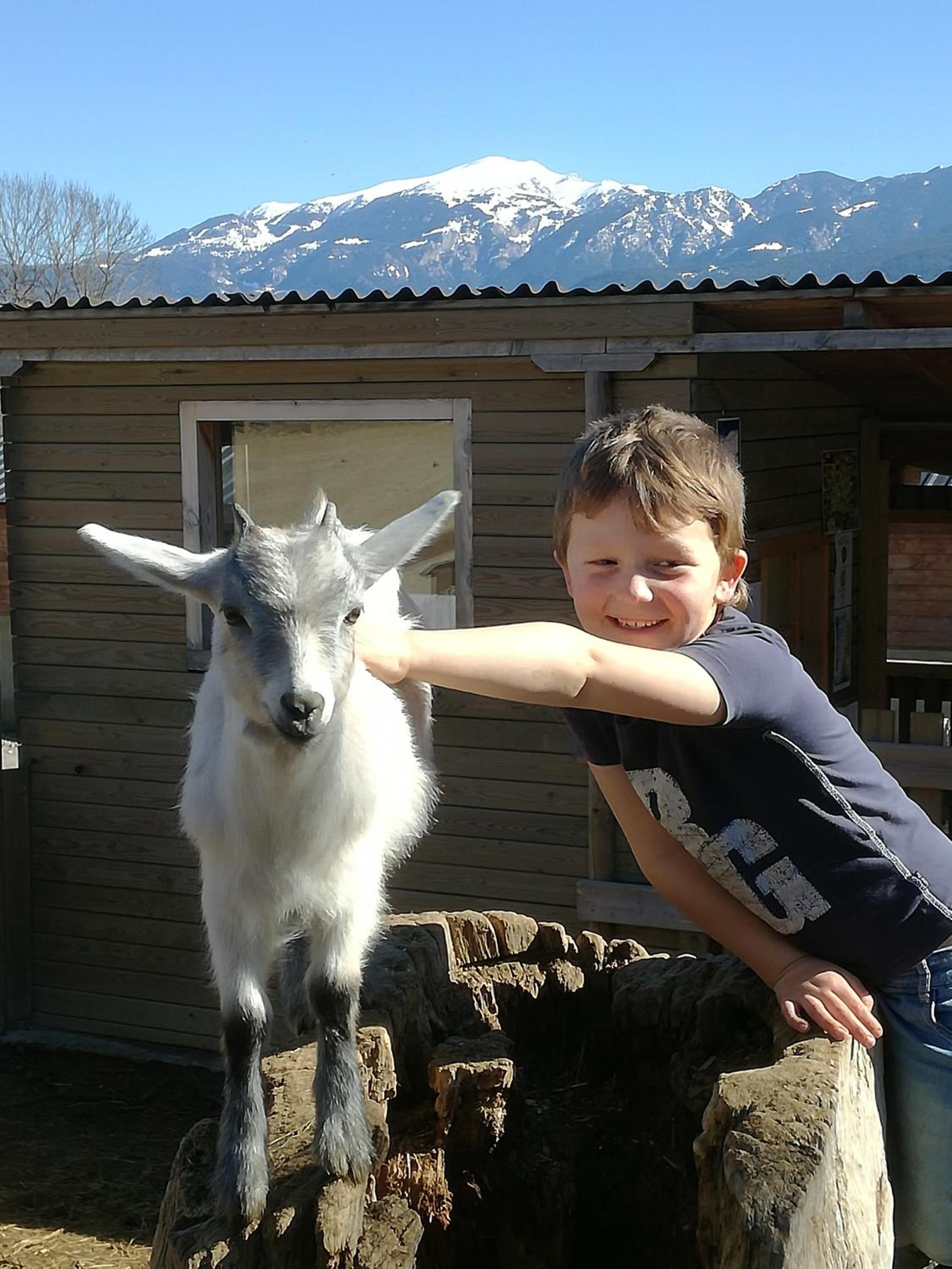 Cerdanya Viva Ecoestades
