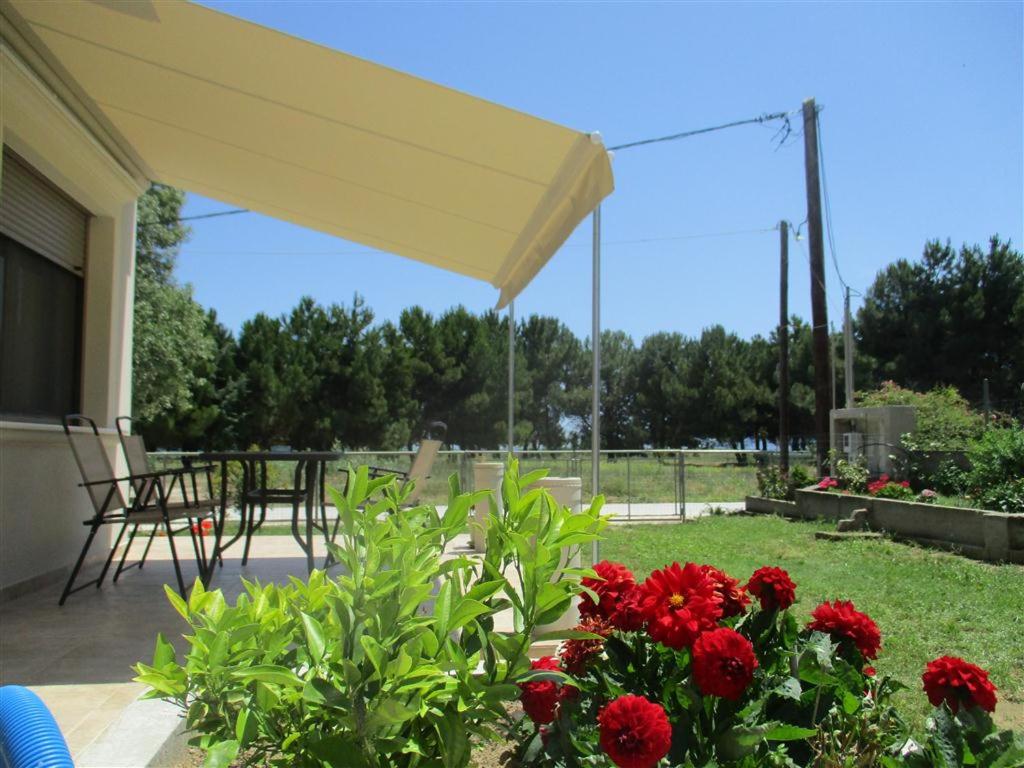 ImertI Apartment view 5
