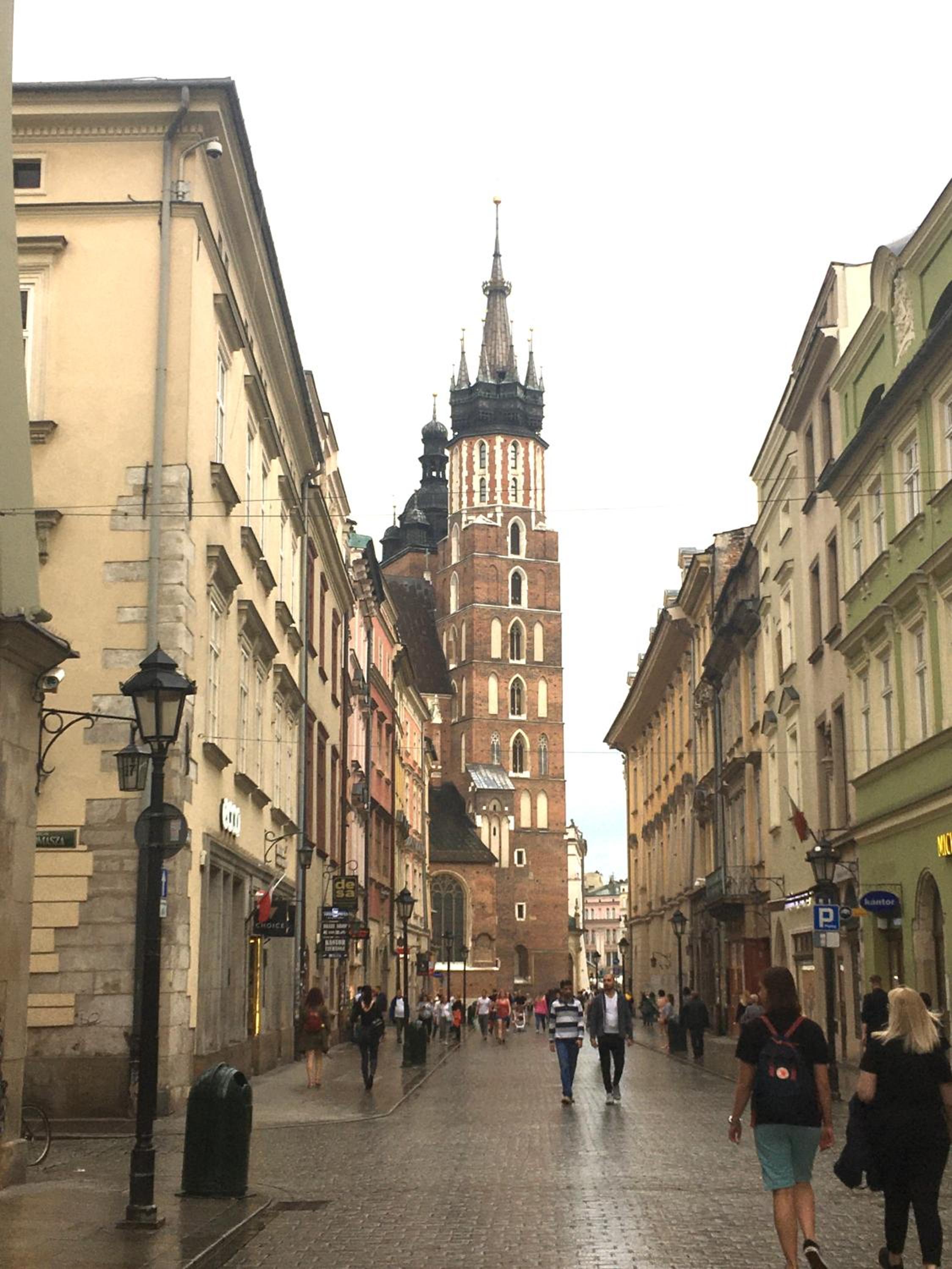 Photo 8