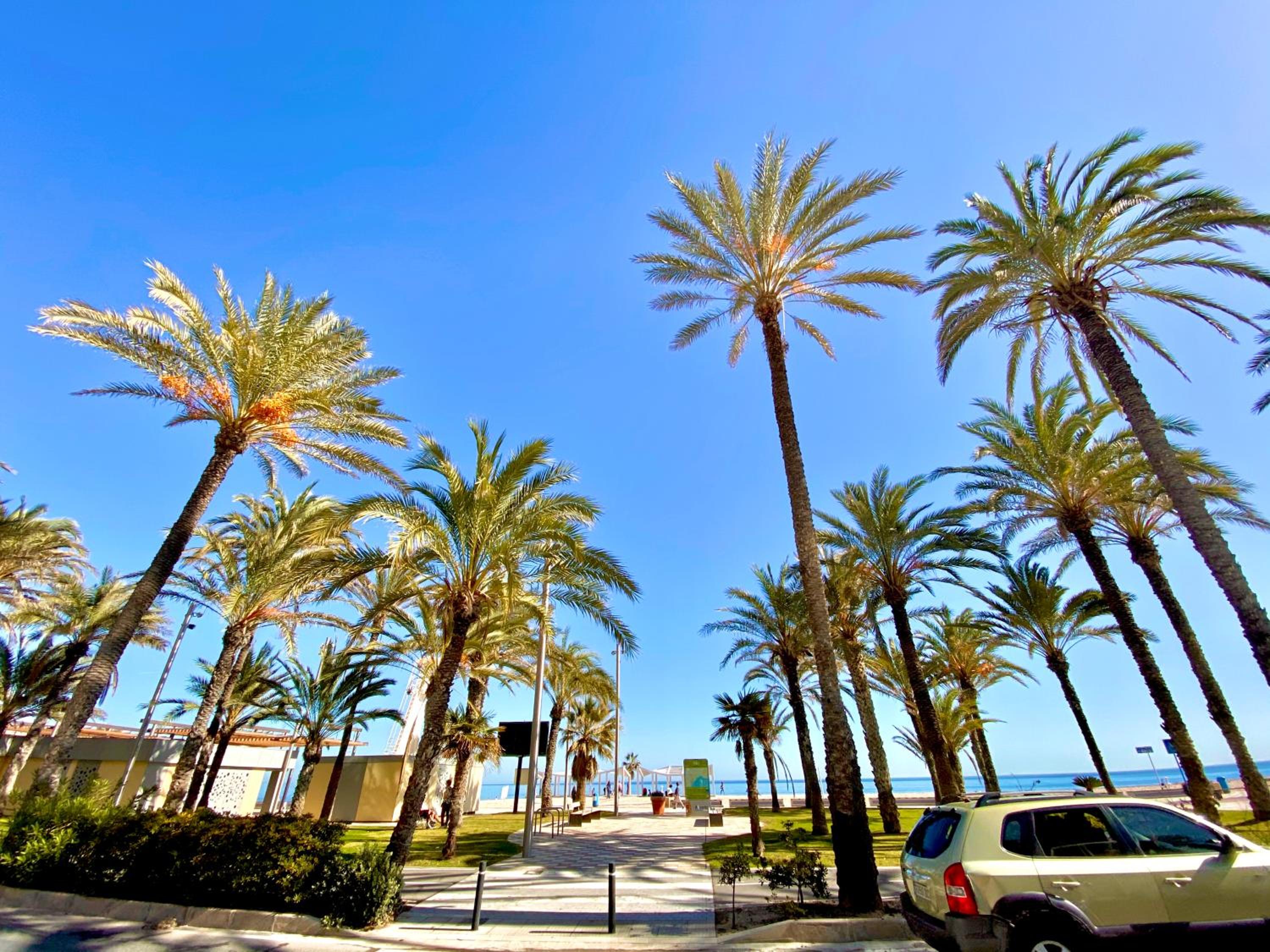 Nereo 7 Primera Linea de Playa San Juan Piscina, Parking wifi Inmobiliaria Leo view 2