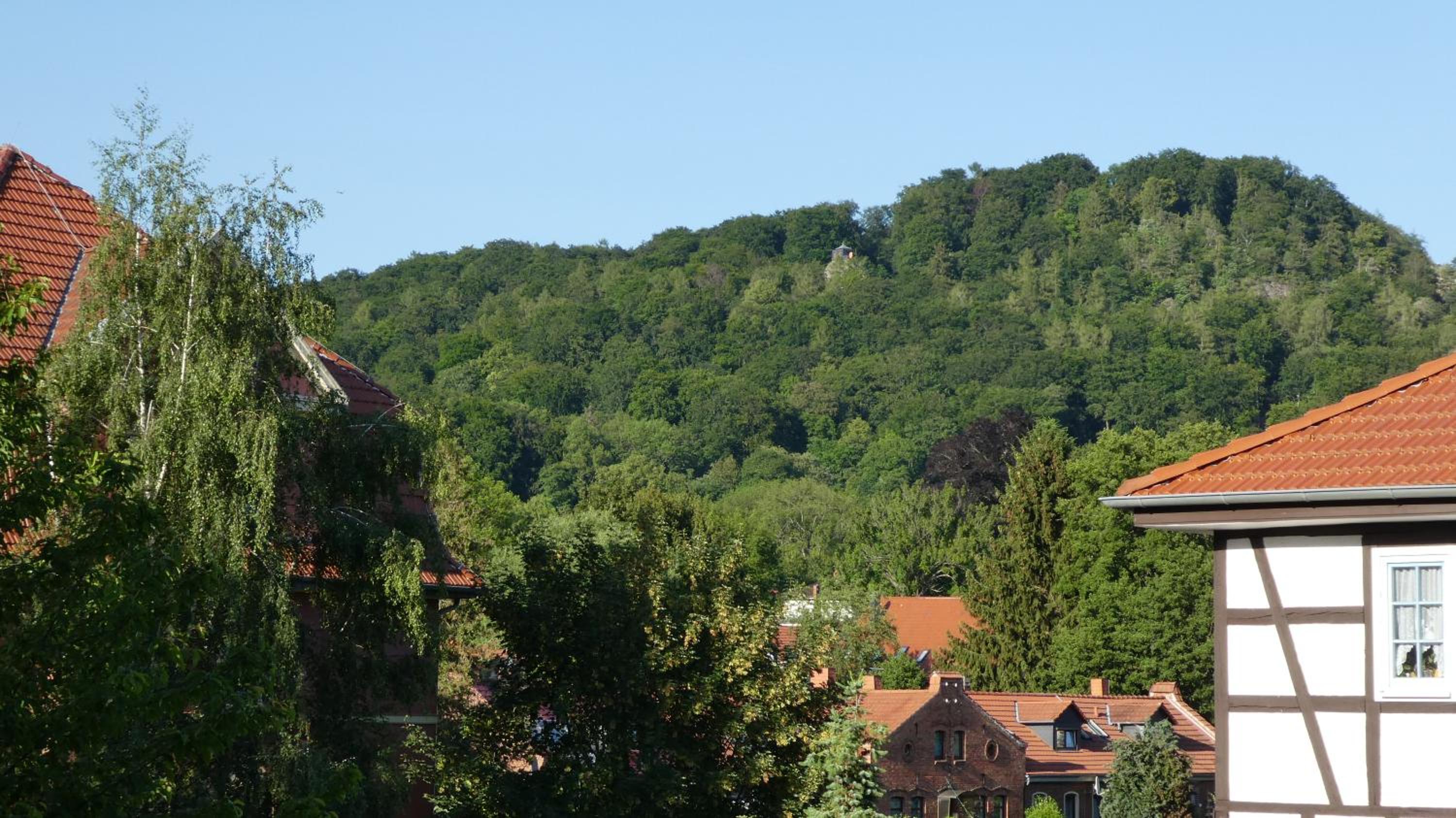 Photo 40