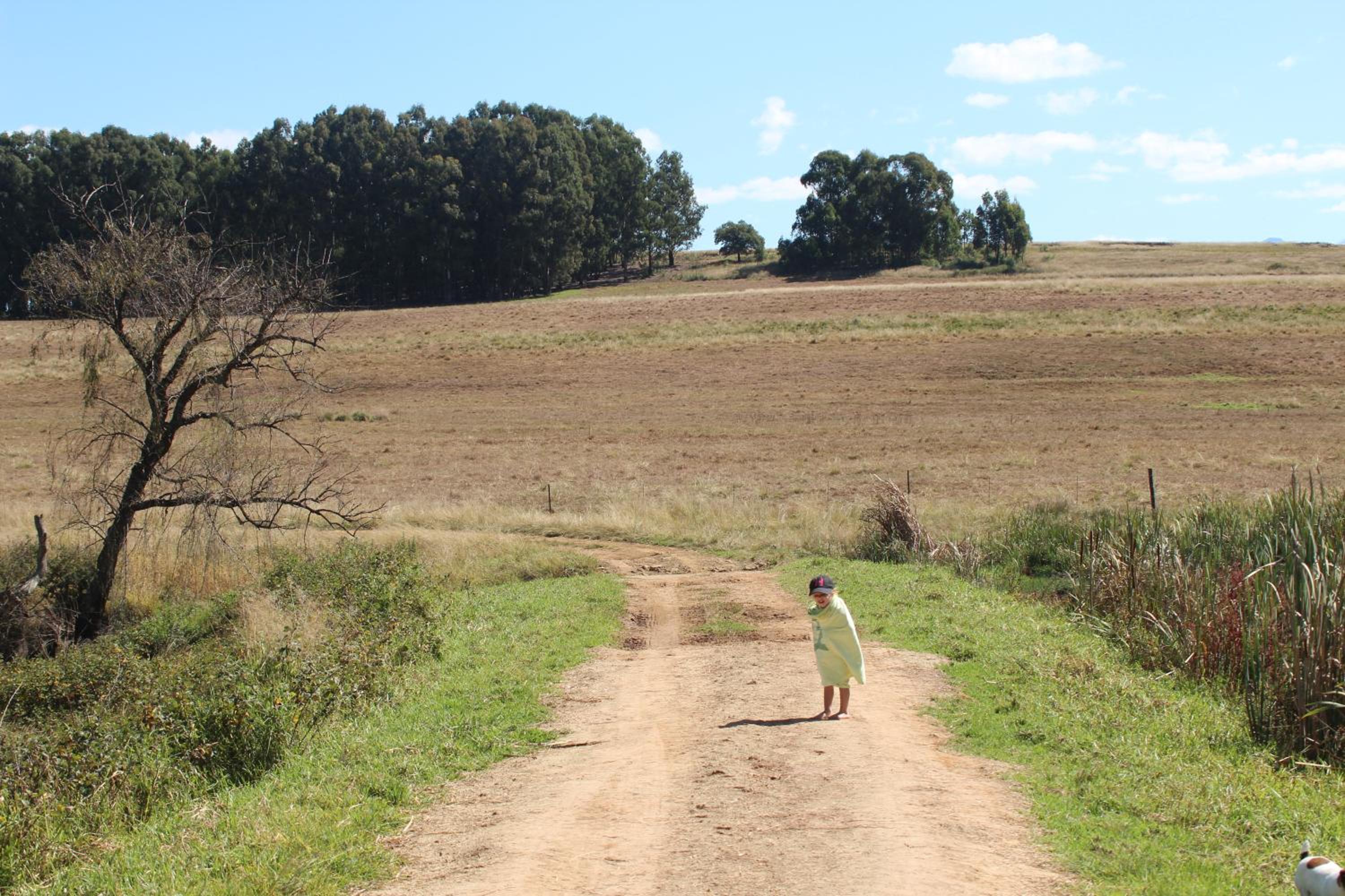 Penwarn Farm