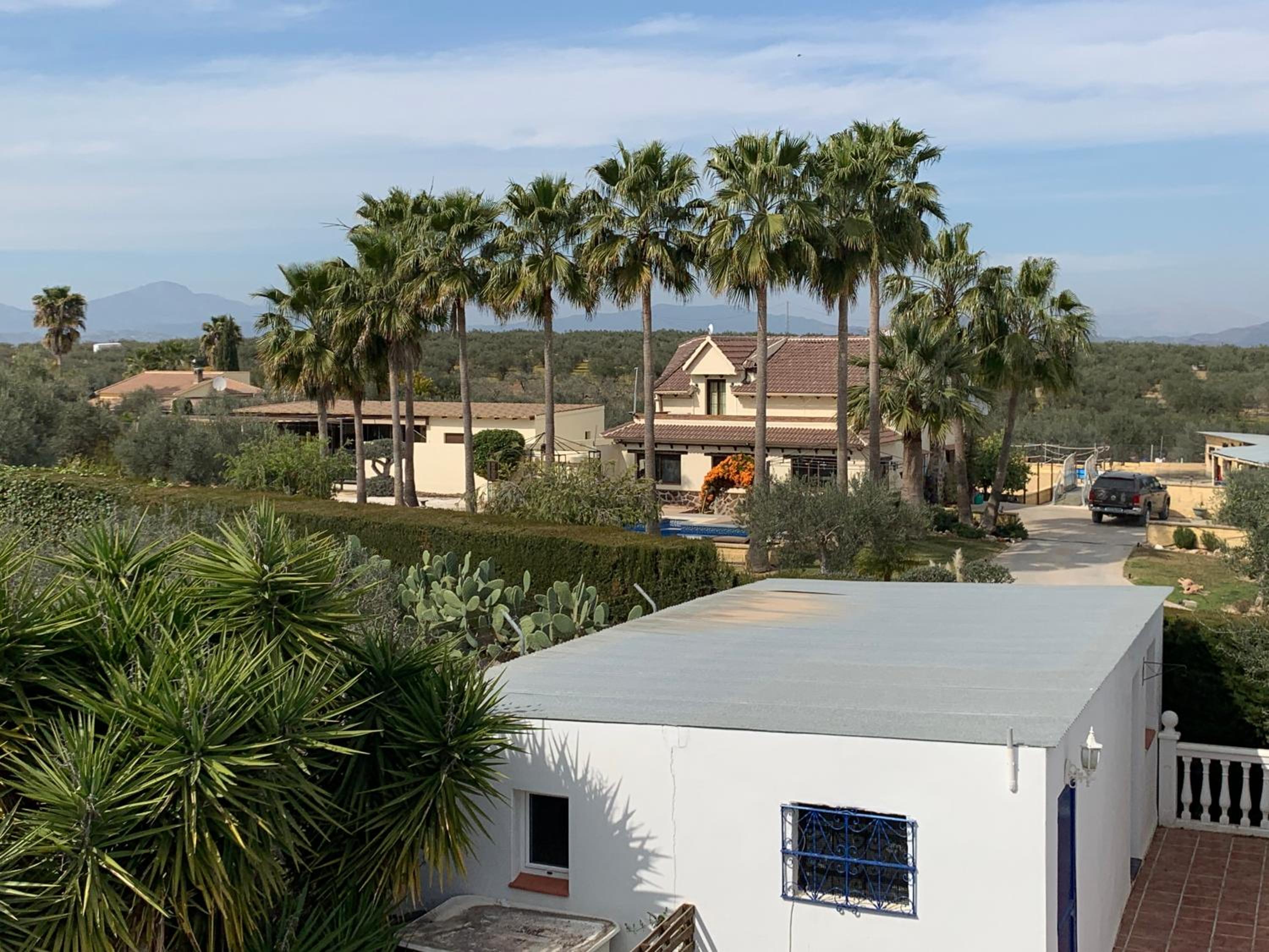 Finca Casa Mici view 4