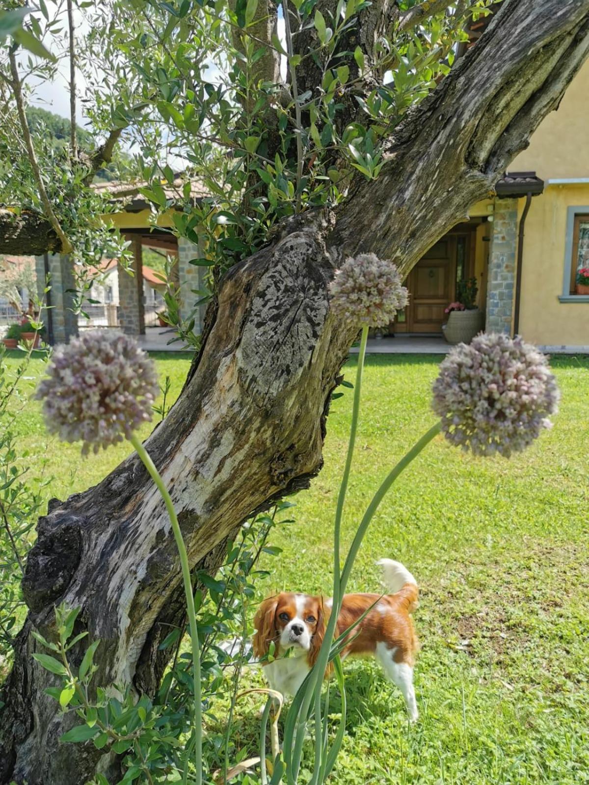 Photo 23
