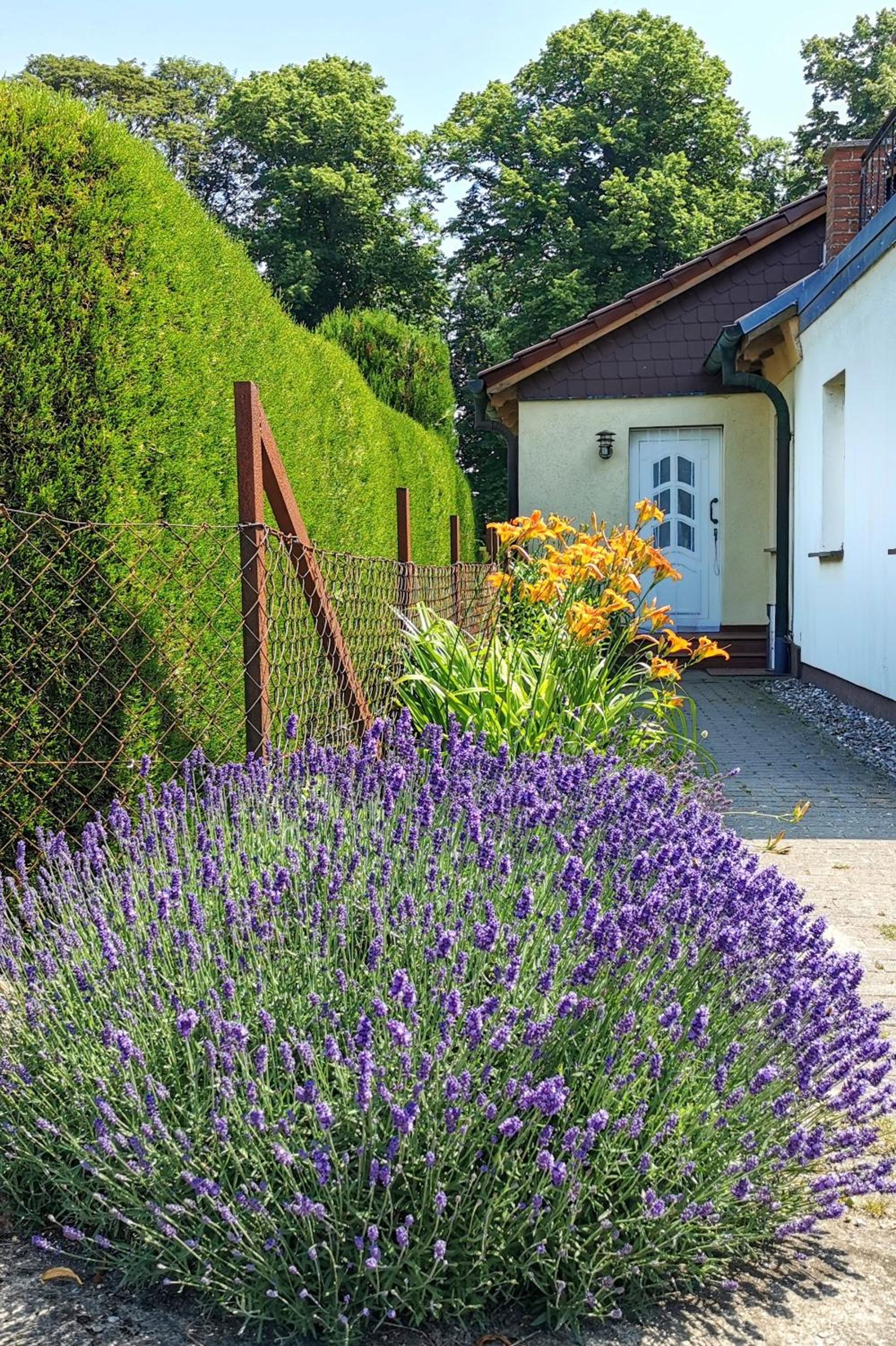 FeWo Albrecht in Metschow view 3